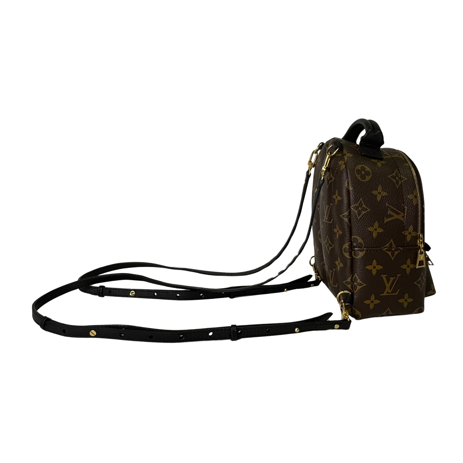 Louis Vuitton Monogram Palm Springs Mini Backpack