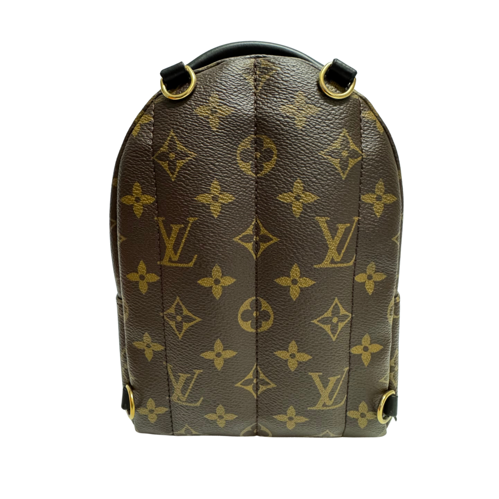 Louis Vuitton Monogram Palm Springs Mini Backpack