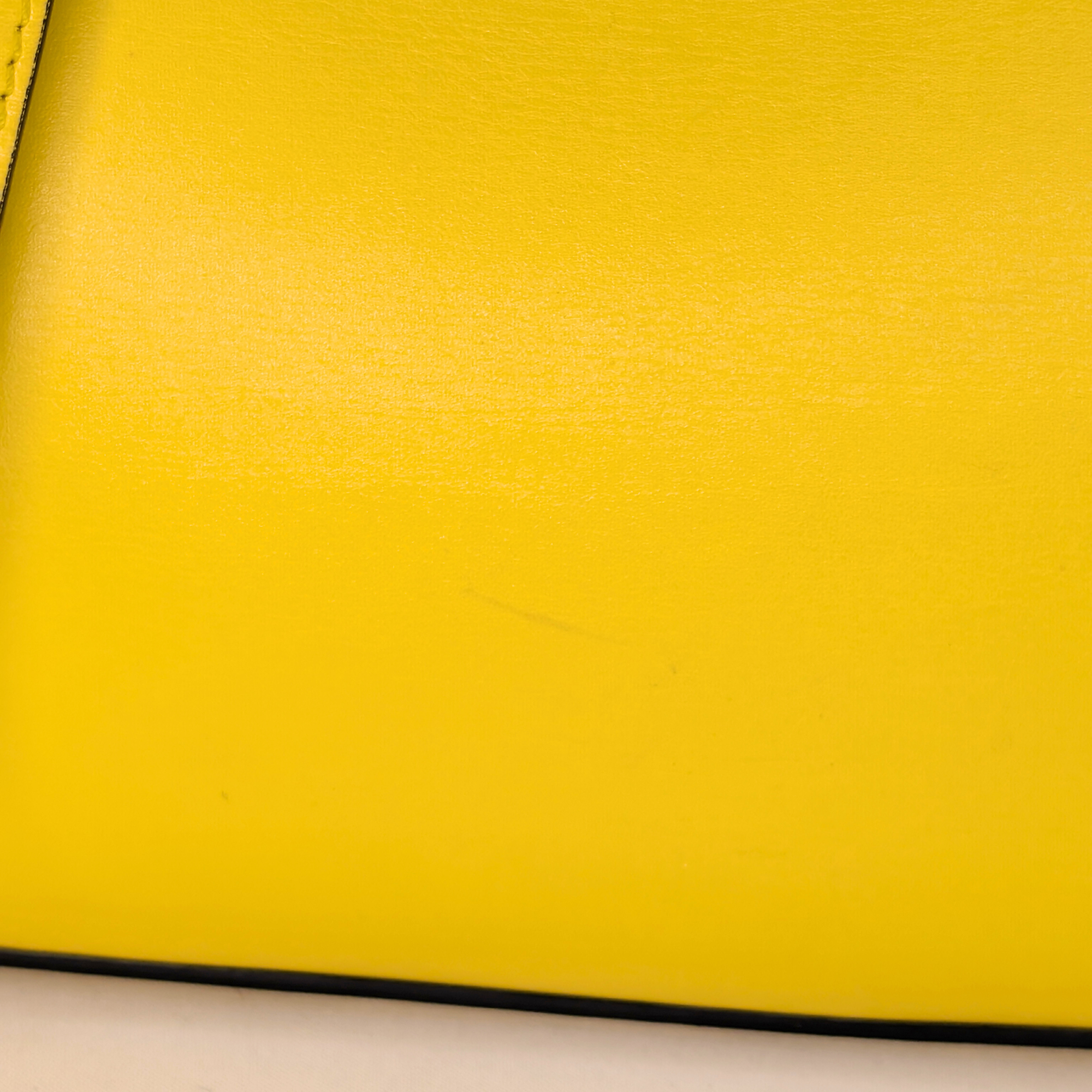 Loewe Mini Lazo Bag Yellow