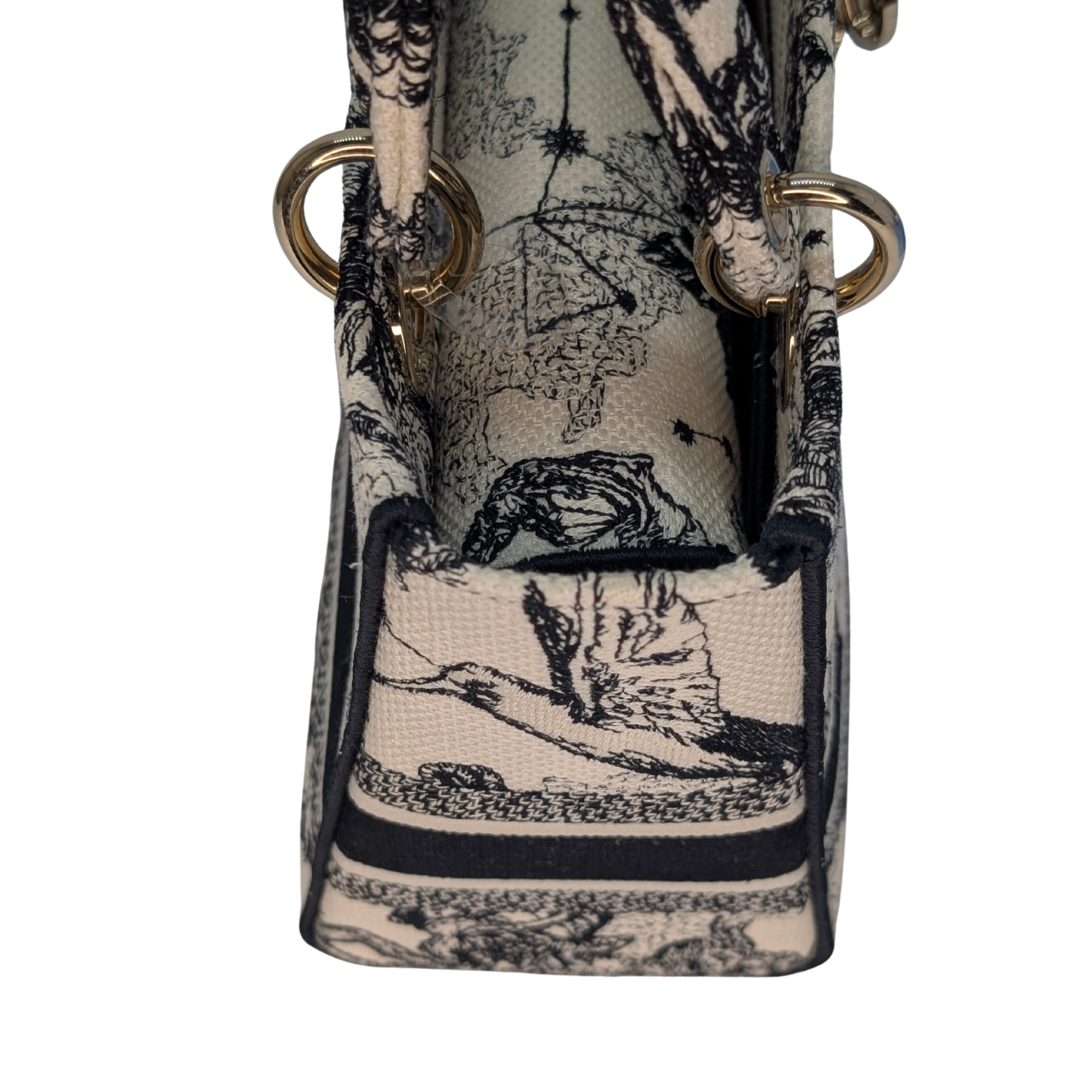 Dior Lady D-Lite Medium Toile de Jouy Zodiac Bag