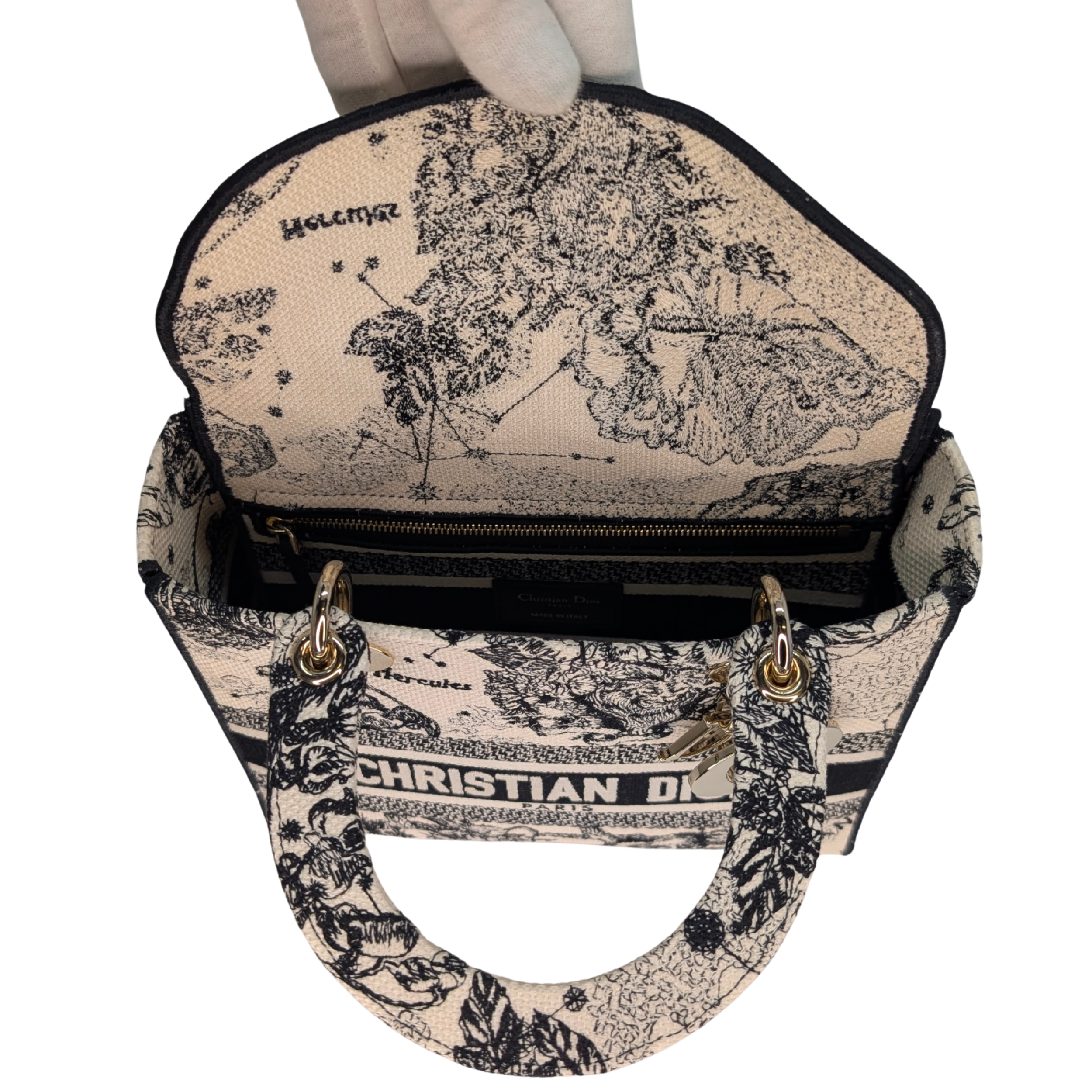Dior Lady D-Lite Medium Toile de Jouy Zodiac Bag