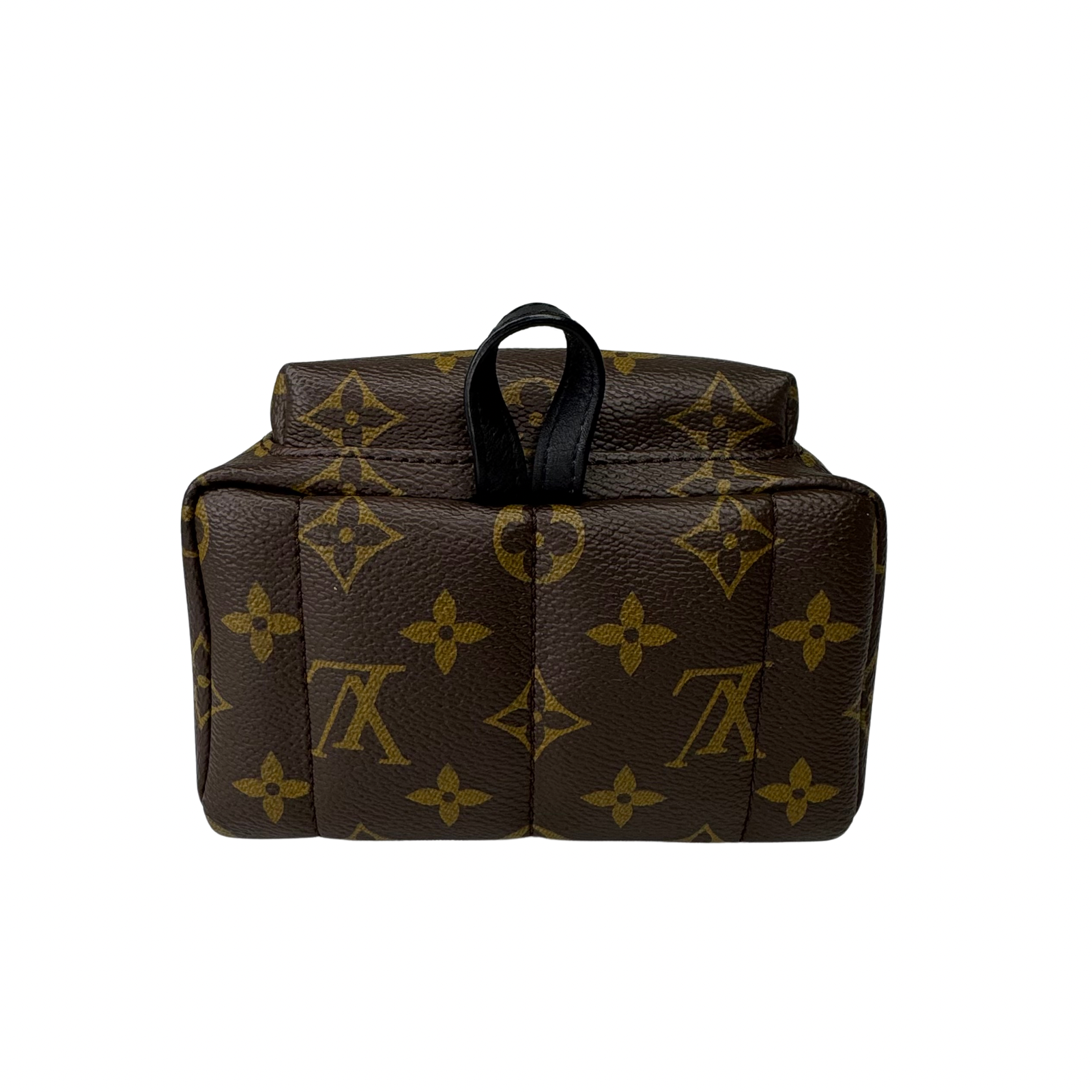 Louis Vuitton Monogram Palm Springs Mini Backpack