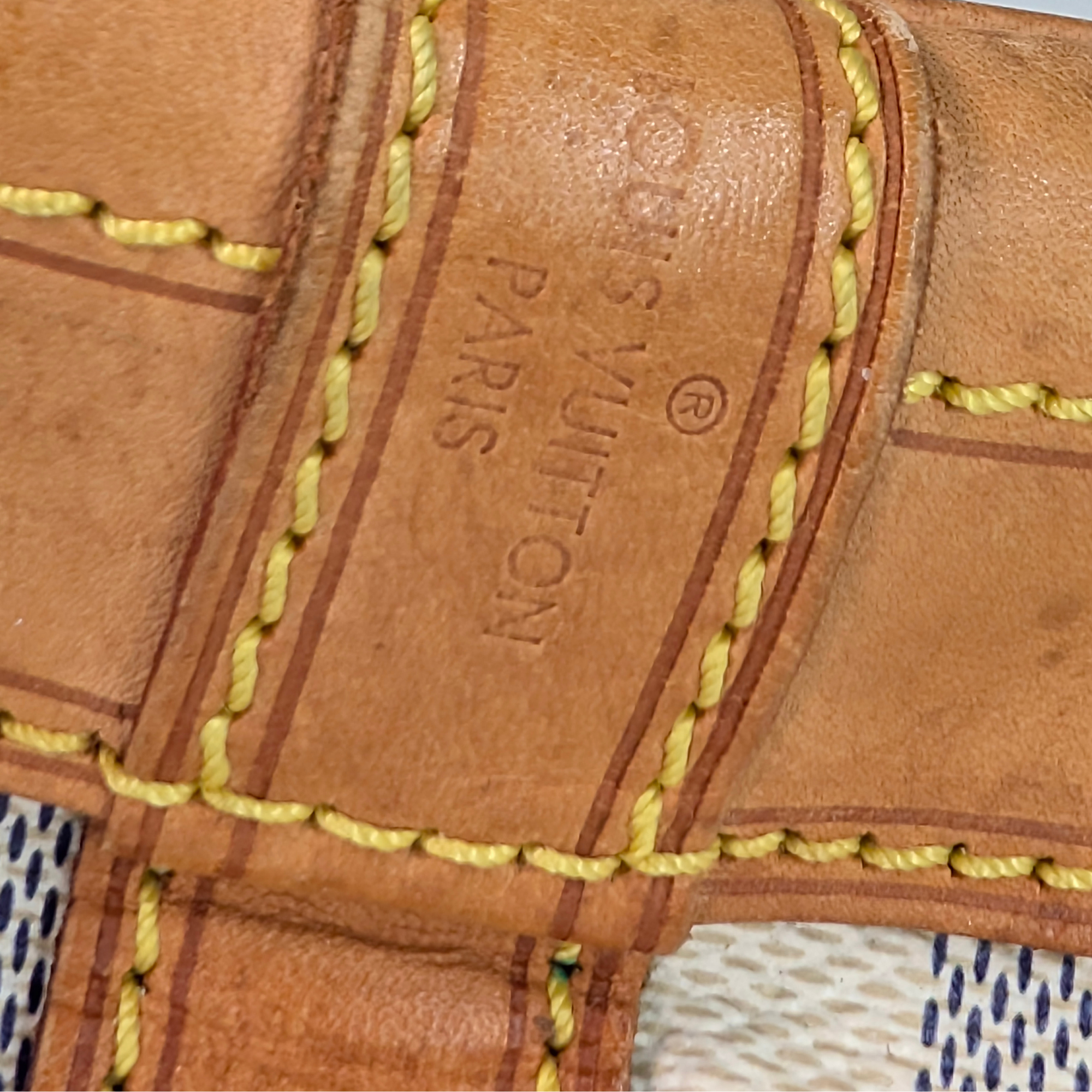 Louis Vuitton Noé Large Bucket Bag Beige