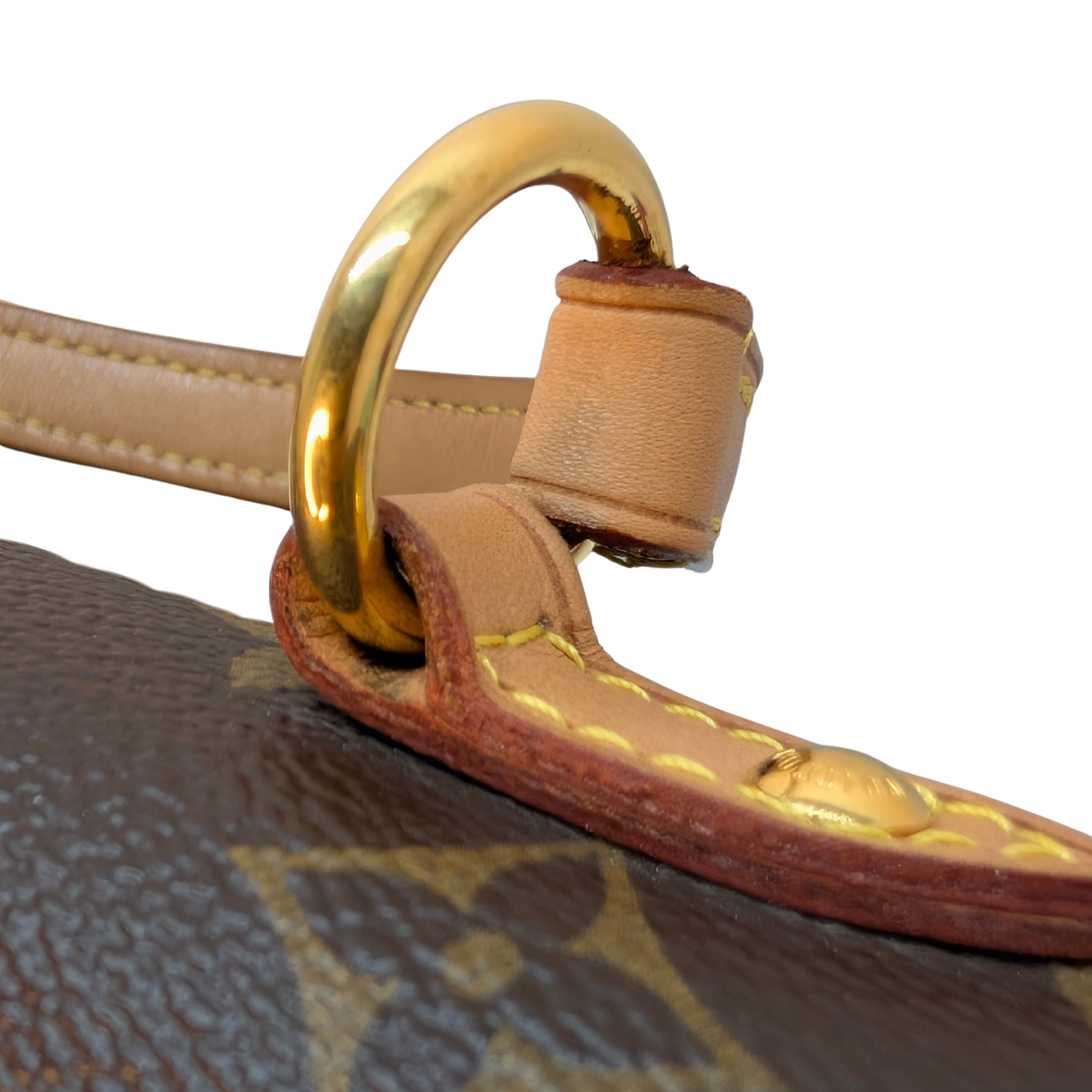 Louis Vuitton Cluny BB Monogram Bag