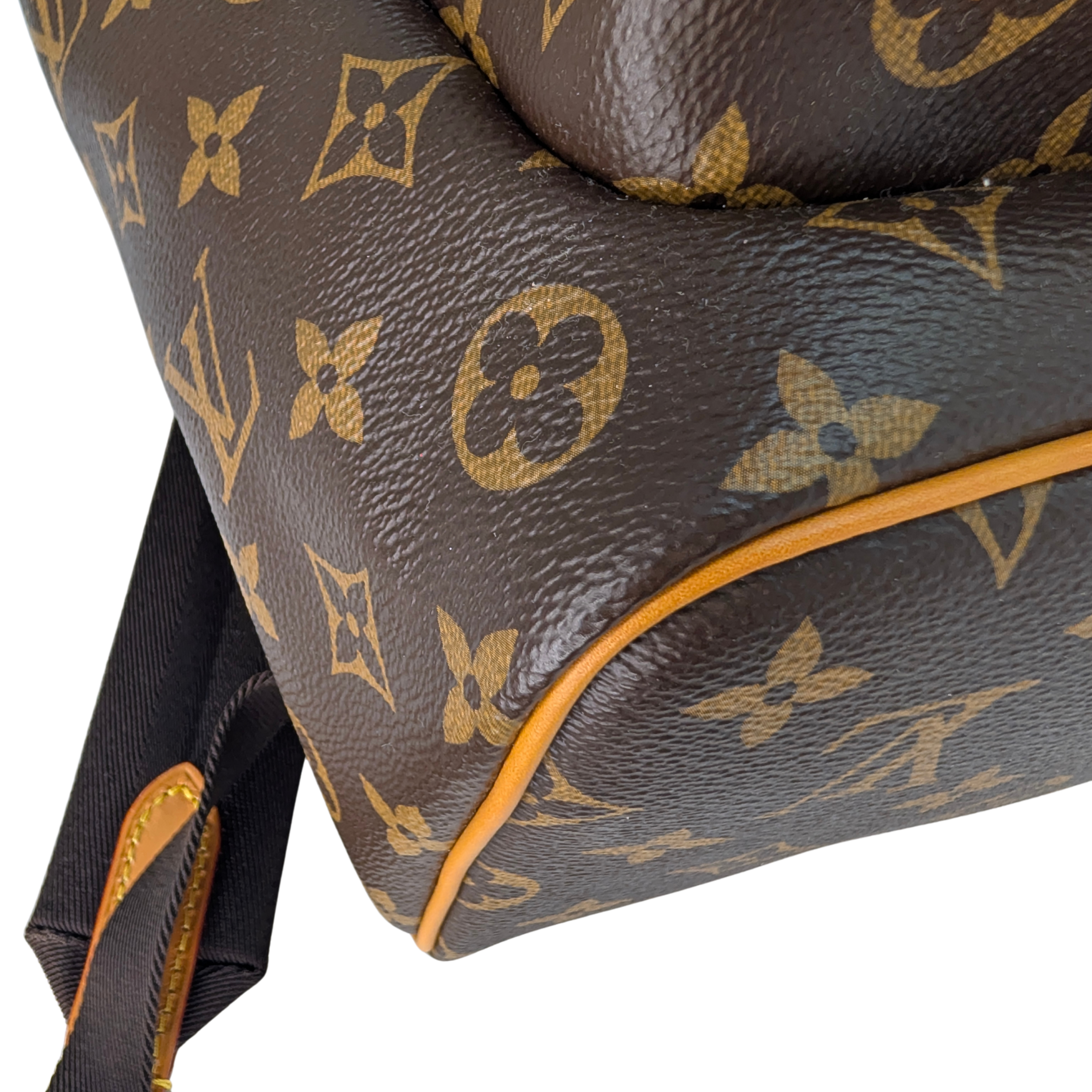 Louis Vuitton Montsouris Cargo Backpack Monogram