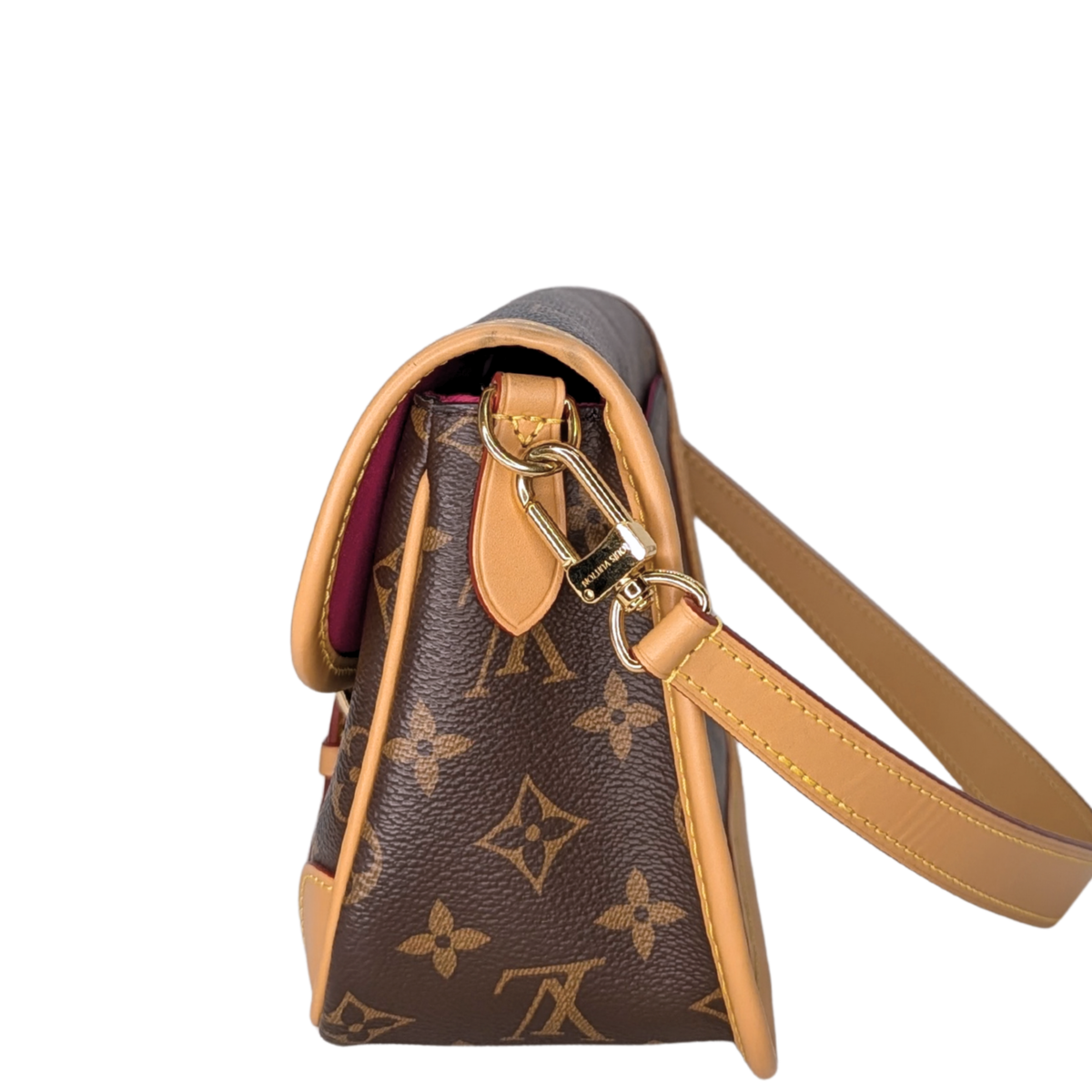 Louis Vuitton Diane Monogram Bag