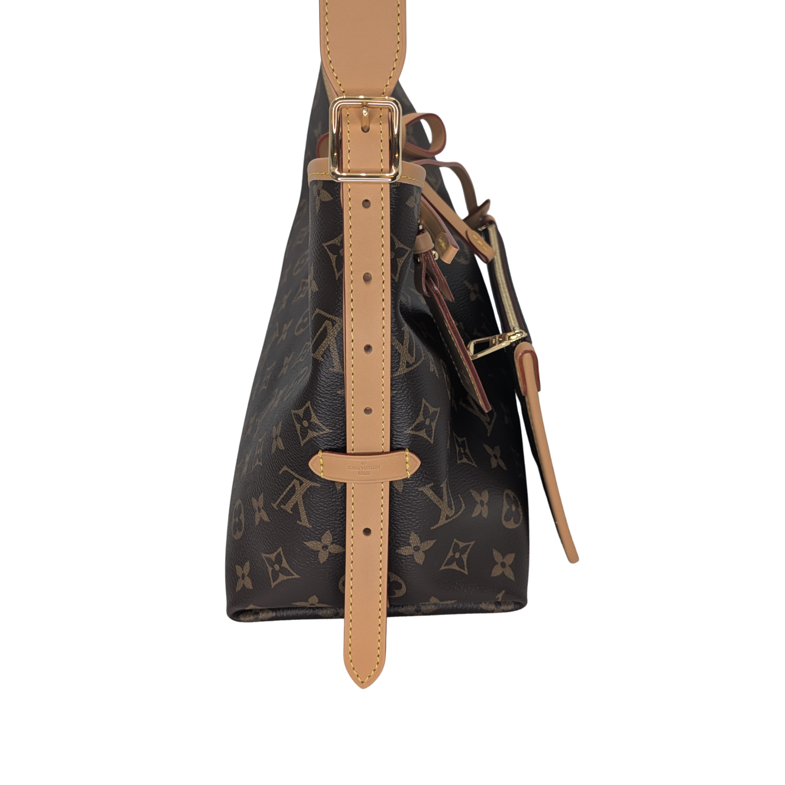 Louis Vuitton Carryall PM Monogram Bag