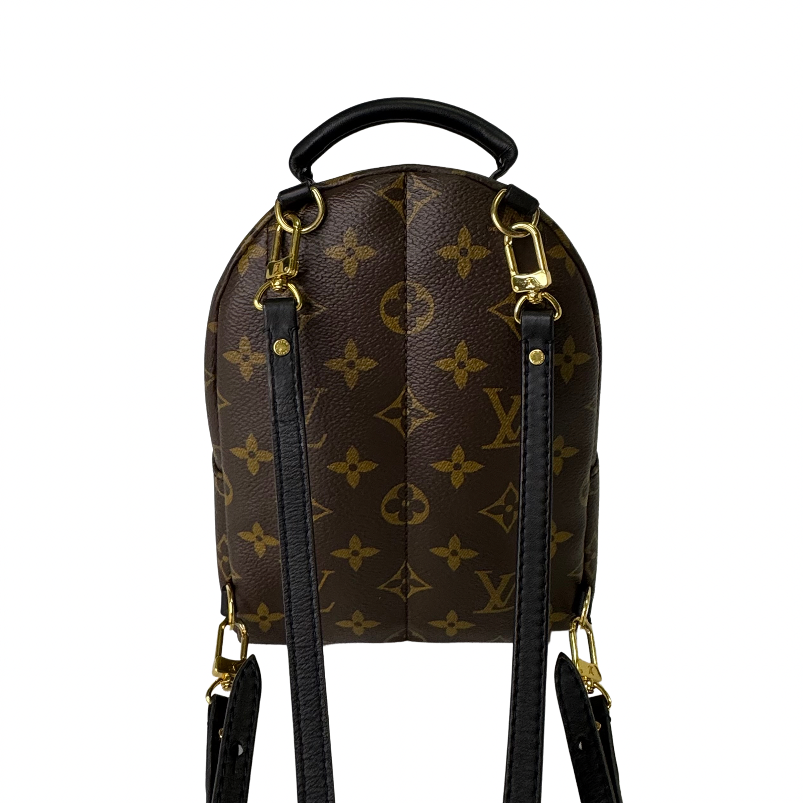 Louis Vuitton Monogram Palm Springs Mini Backpack