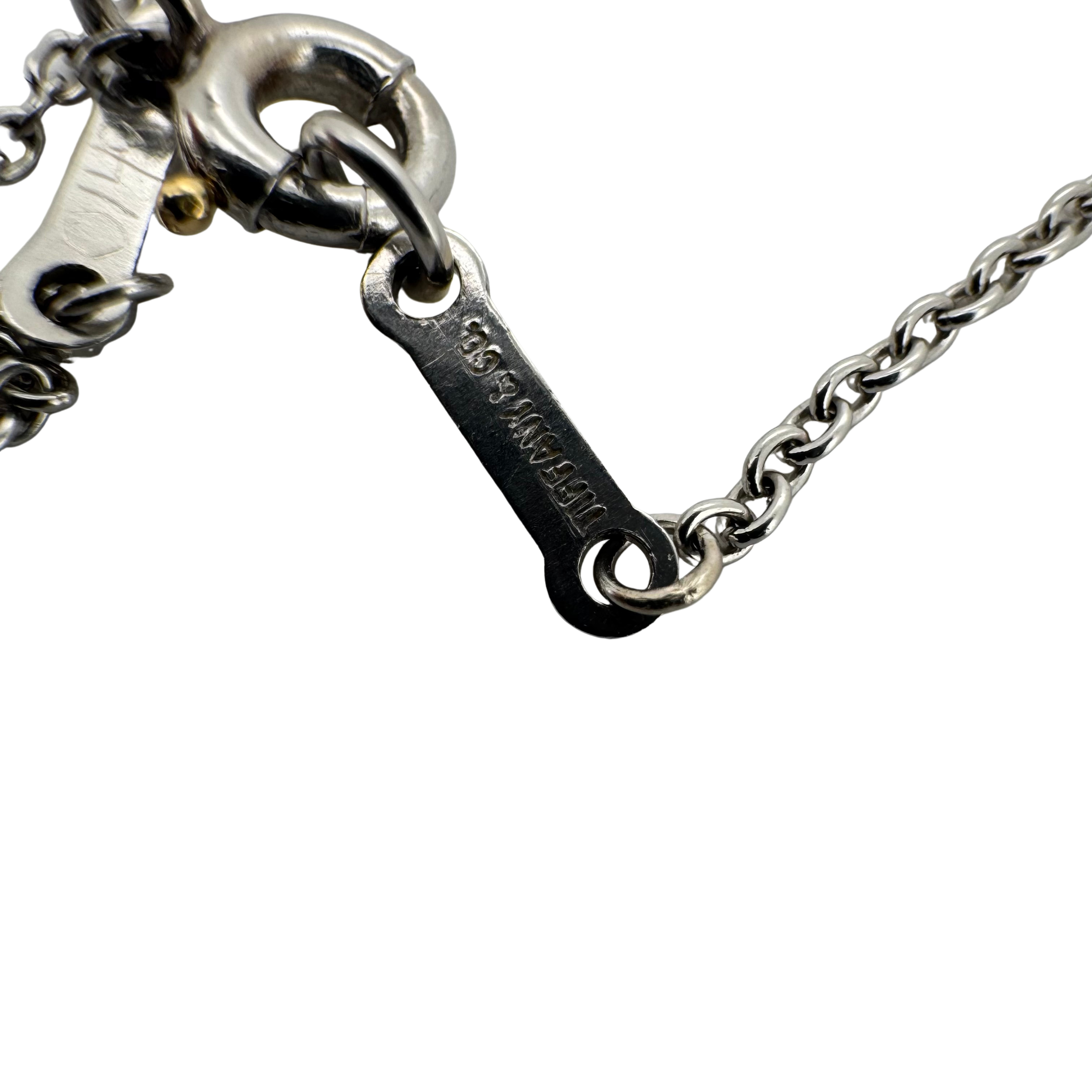 Tiffany & Co Elsa Peretti By The Yard Platinum 0.17 Ct Diamond Necklace - Lost Designer