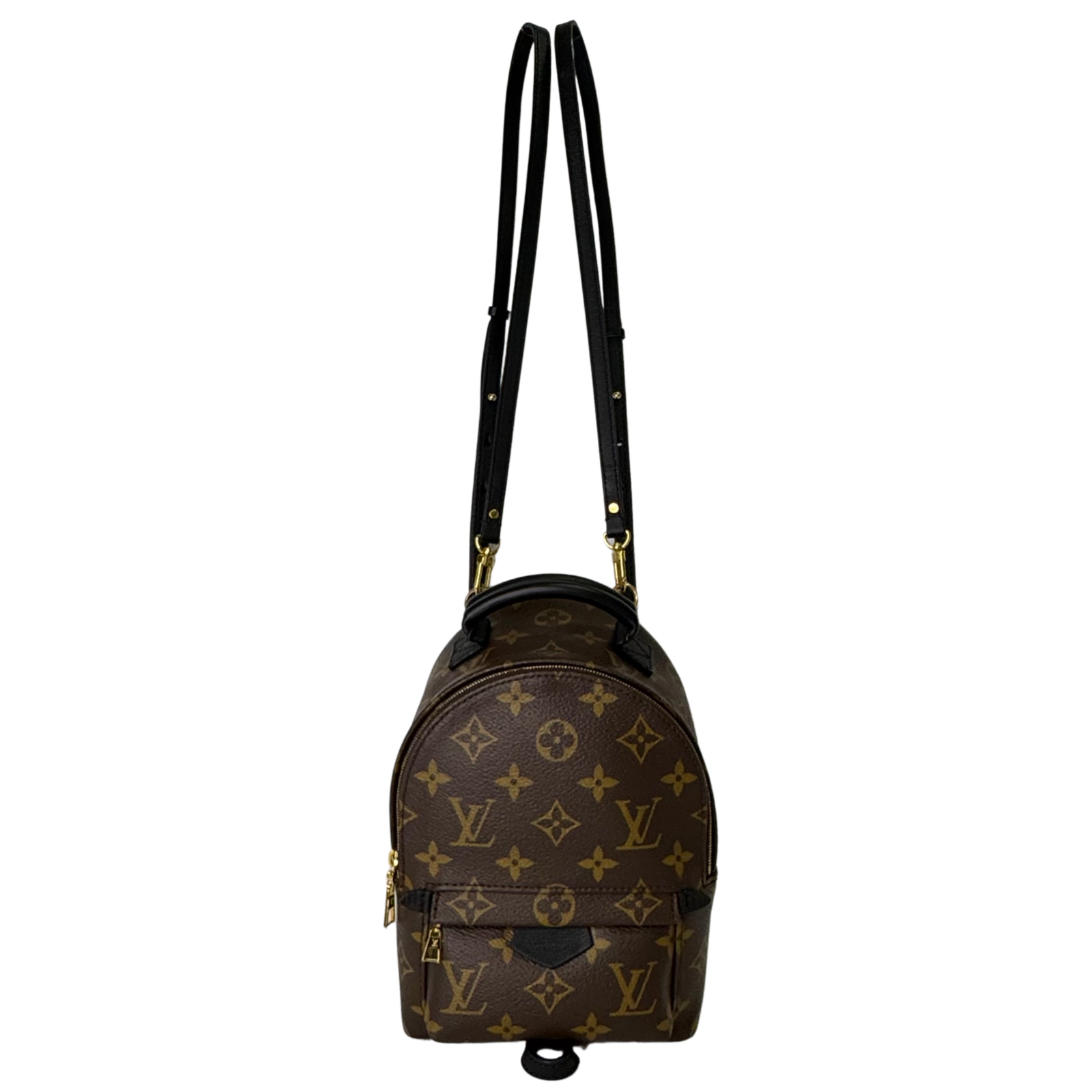 Louis Vuitton Monogram Palm Springs Mini Backpack