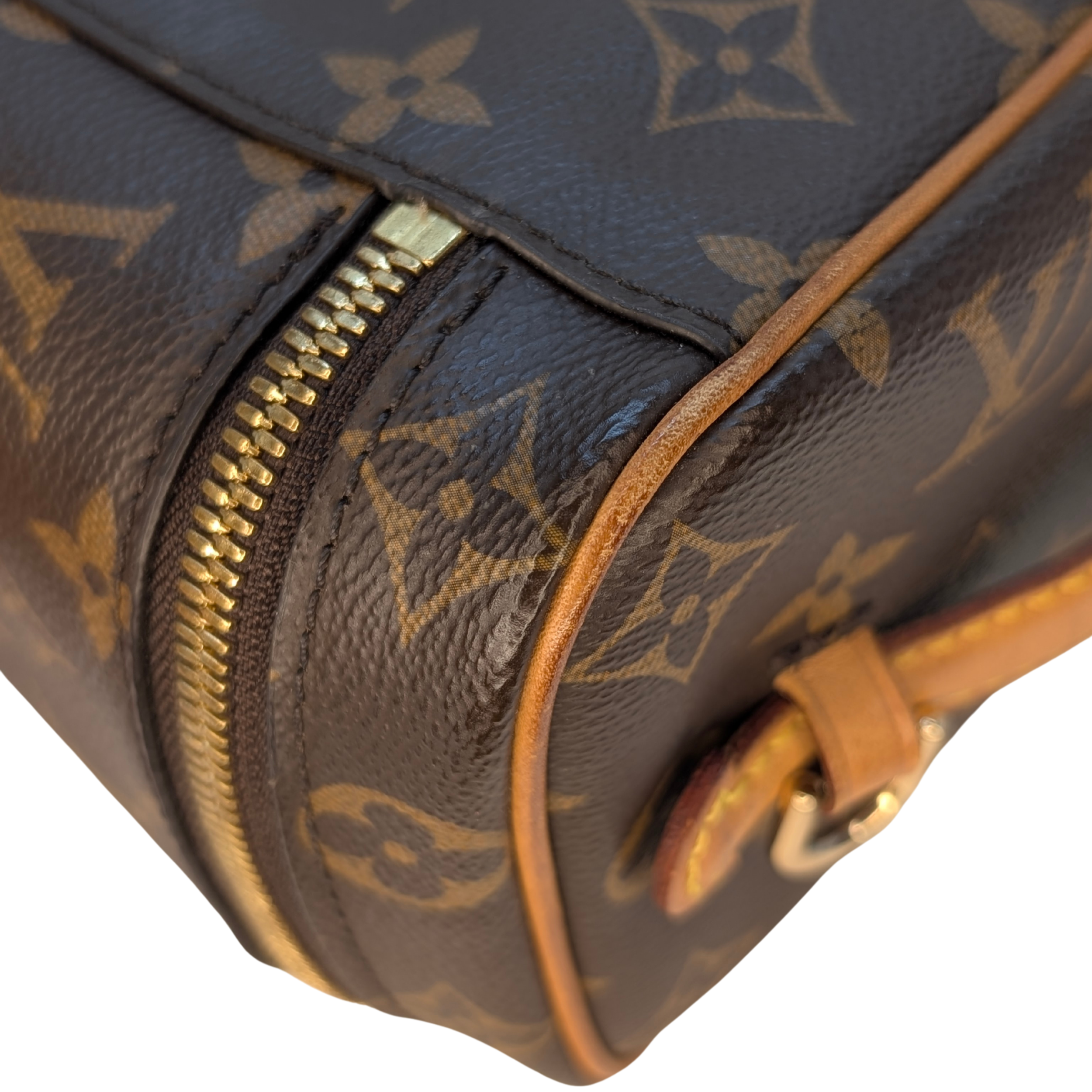 Louis Vuitton Nice Mini Beauty Case Monogram Bag