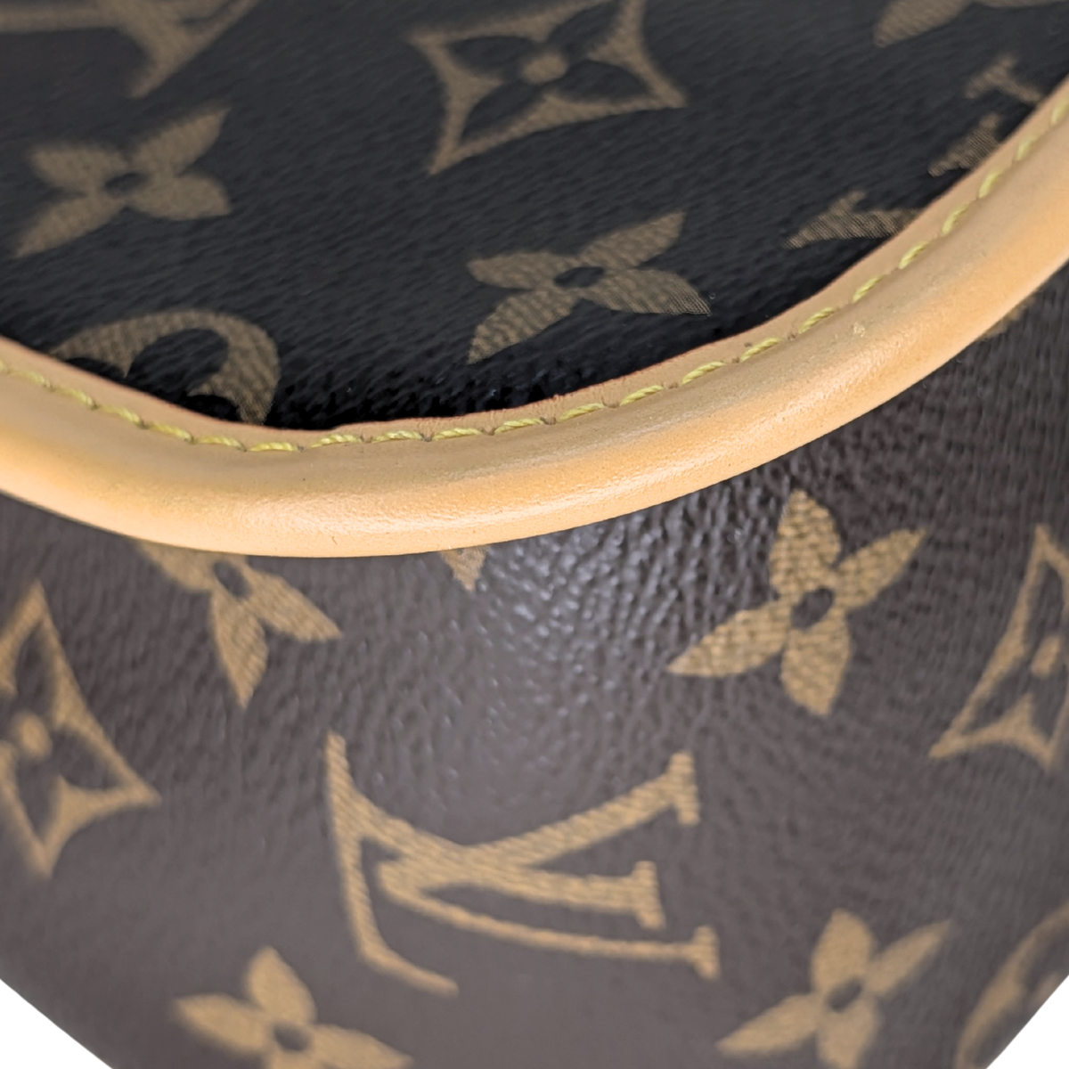 Louis Vuitton Diane Monogram Bag