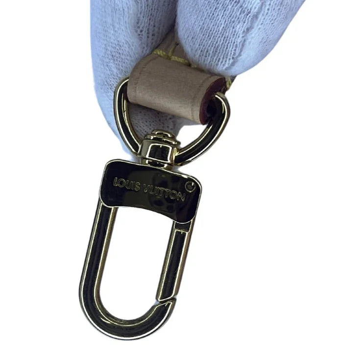 Louis Vuitton Monogram Camera Box Bag Crossbody