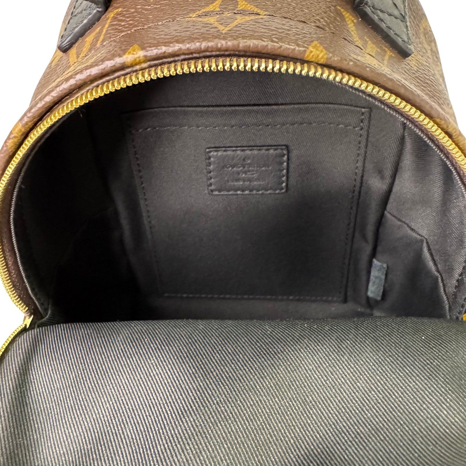 Louis Vuitton Monogram Palm Springs Mini Backpack