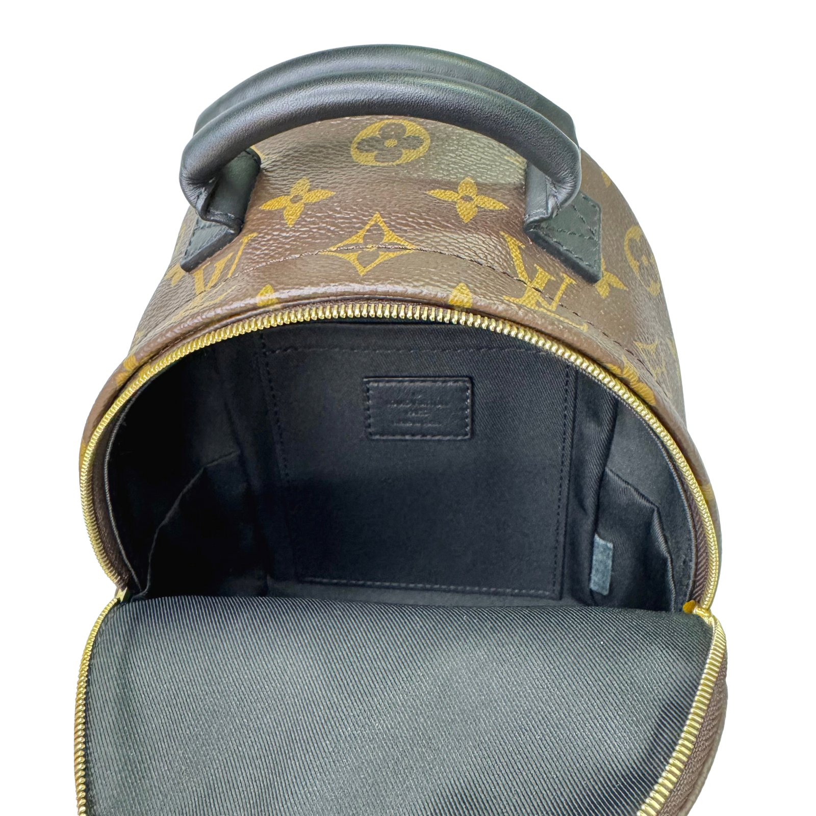 Louis Vuitton Monogram Palm Springs Mini Backpack