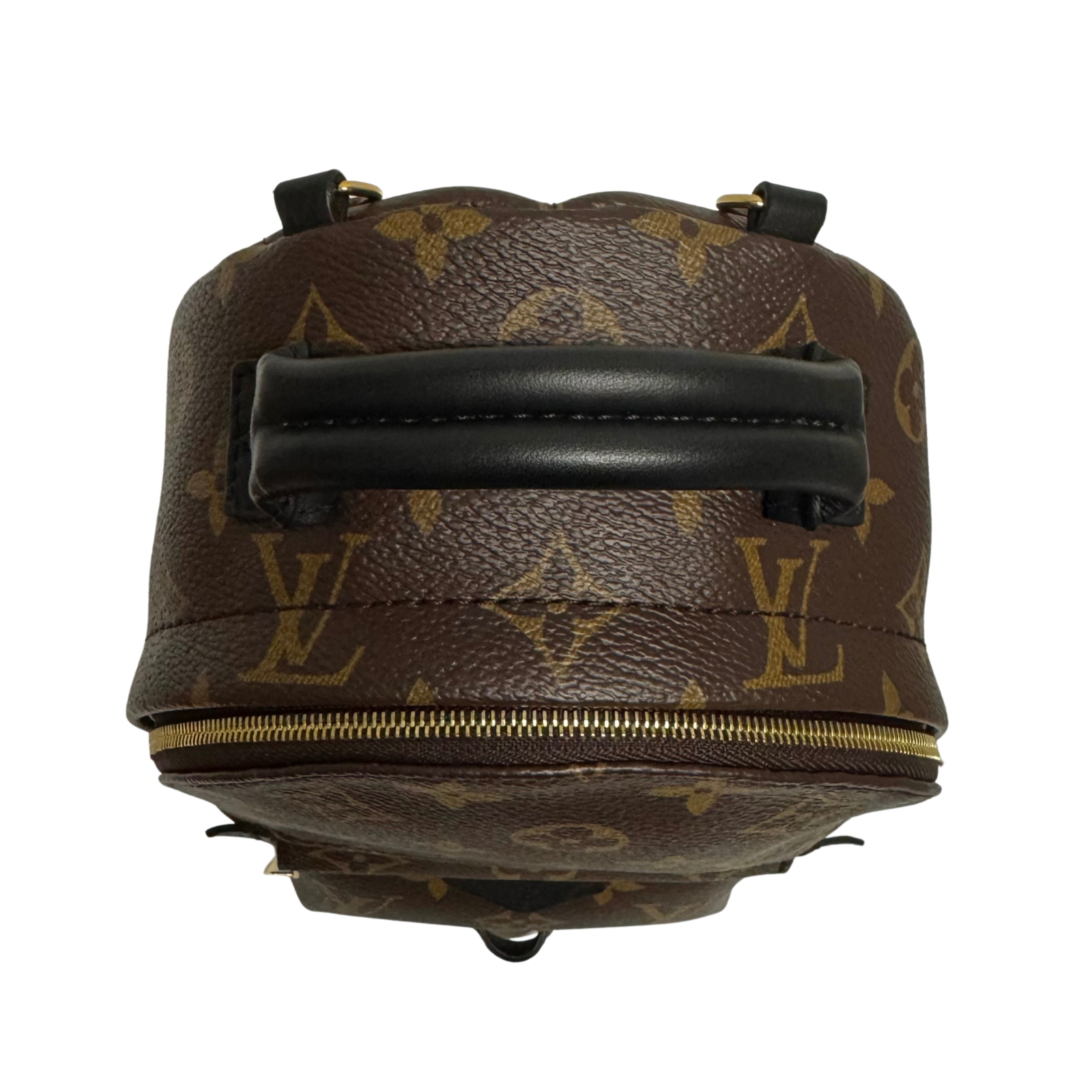 Louis Vuitton Monogram Palm Springs Mini Backpack