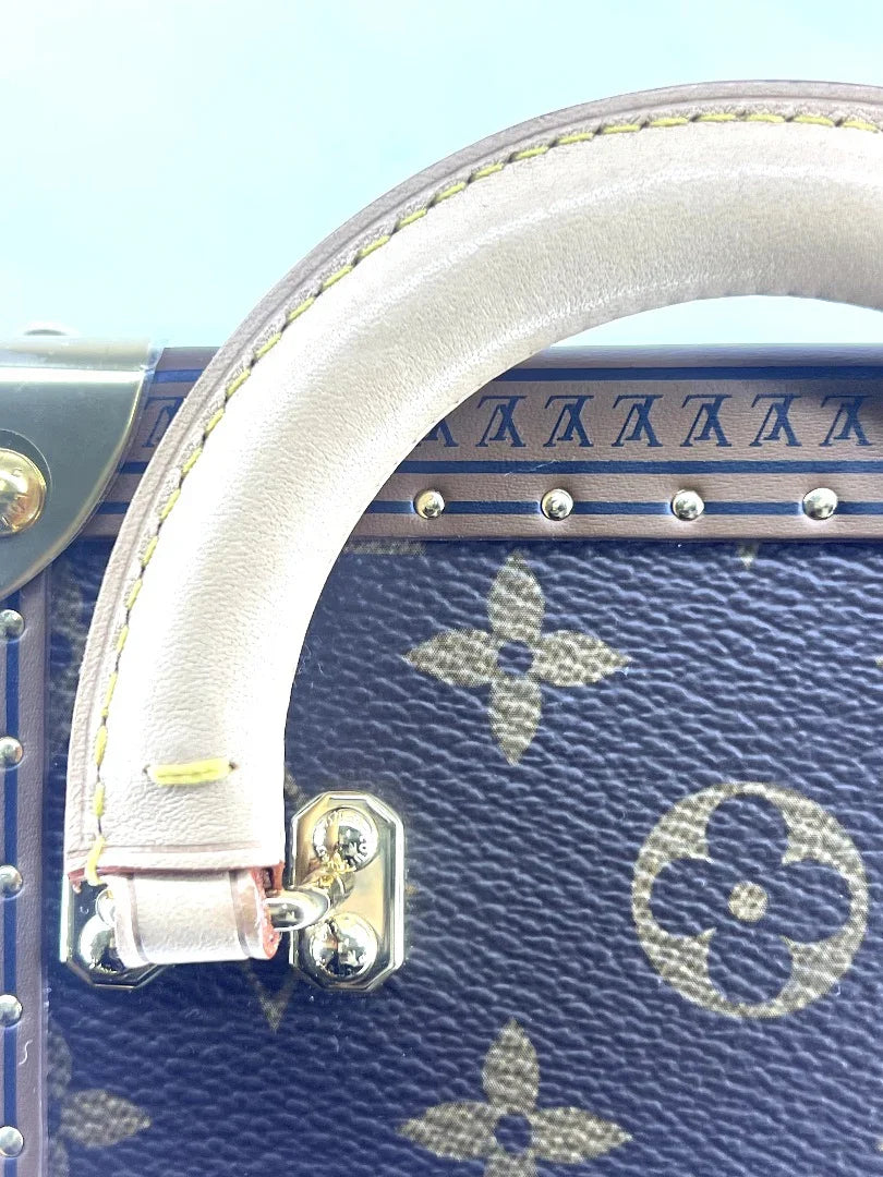 Louis Vuitton Monogram Camera Box Bag Crossbody