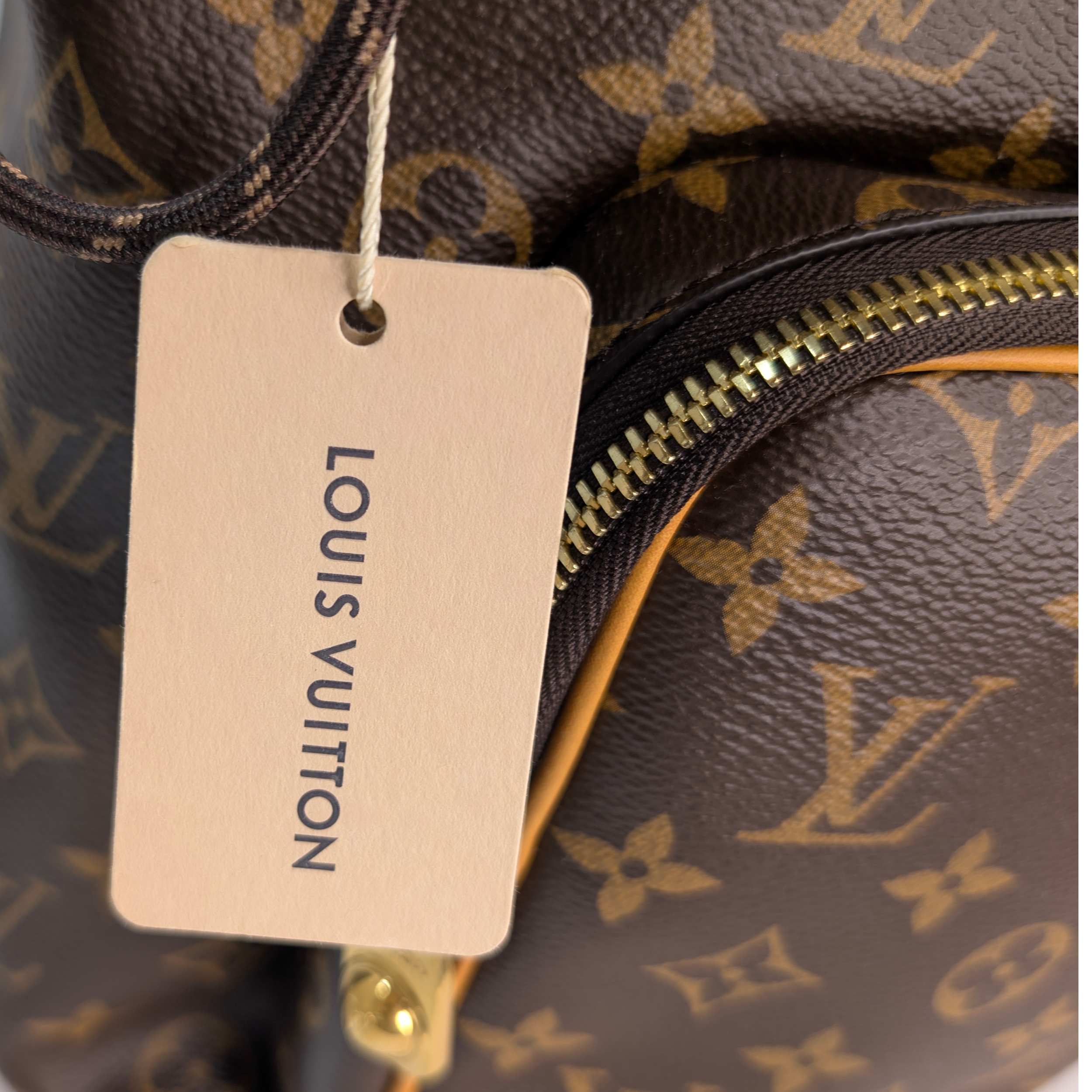 Louis Vuitton Montsouris Cargo Backpack Monogram