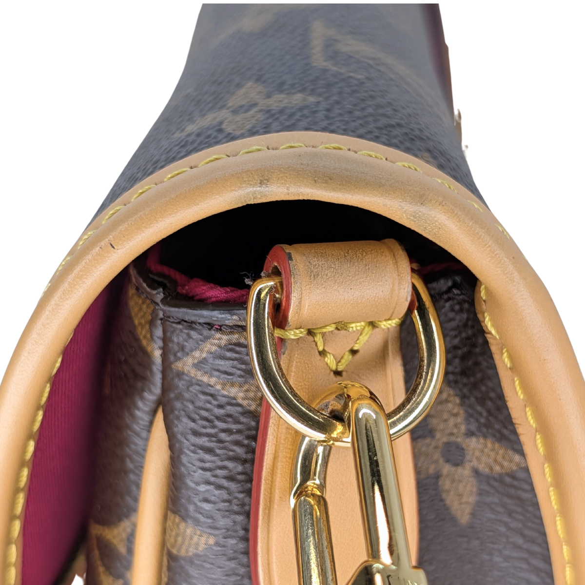 Louis Vuitton Diane Monogram Bag