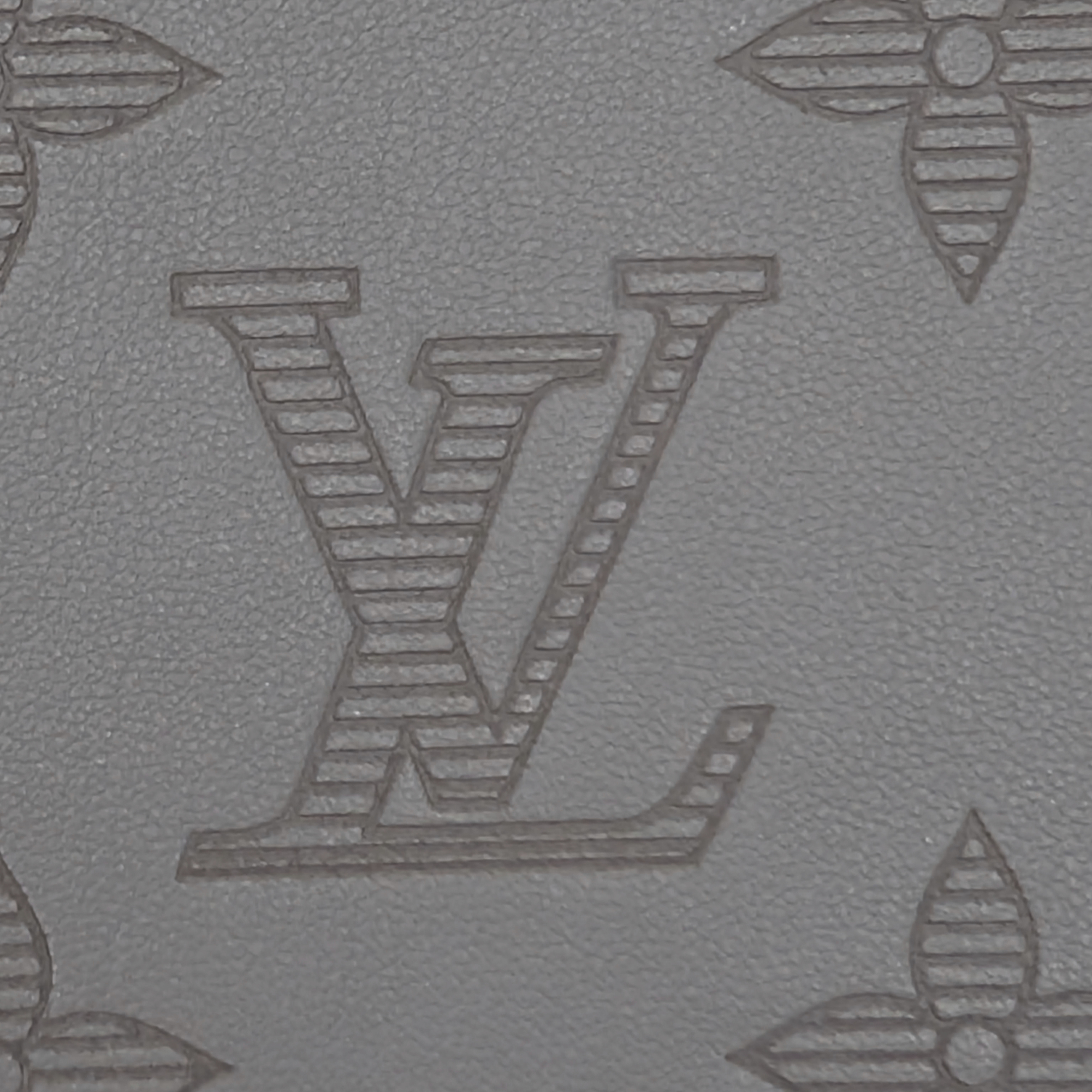 Louis Vuitton Brazza Wallet Shadow Leather Grey