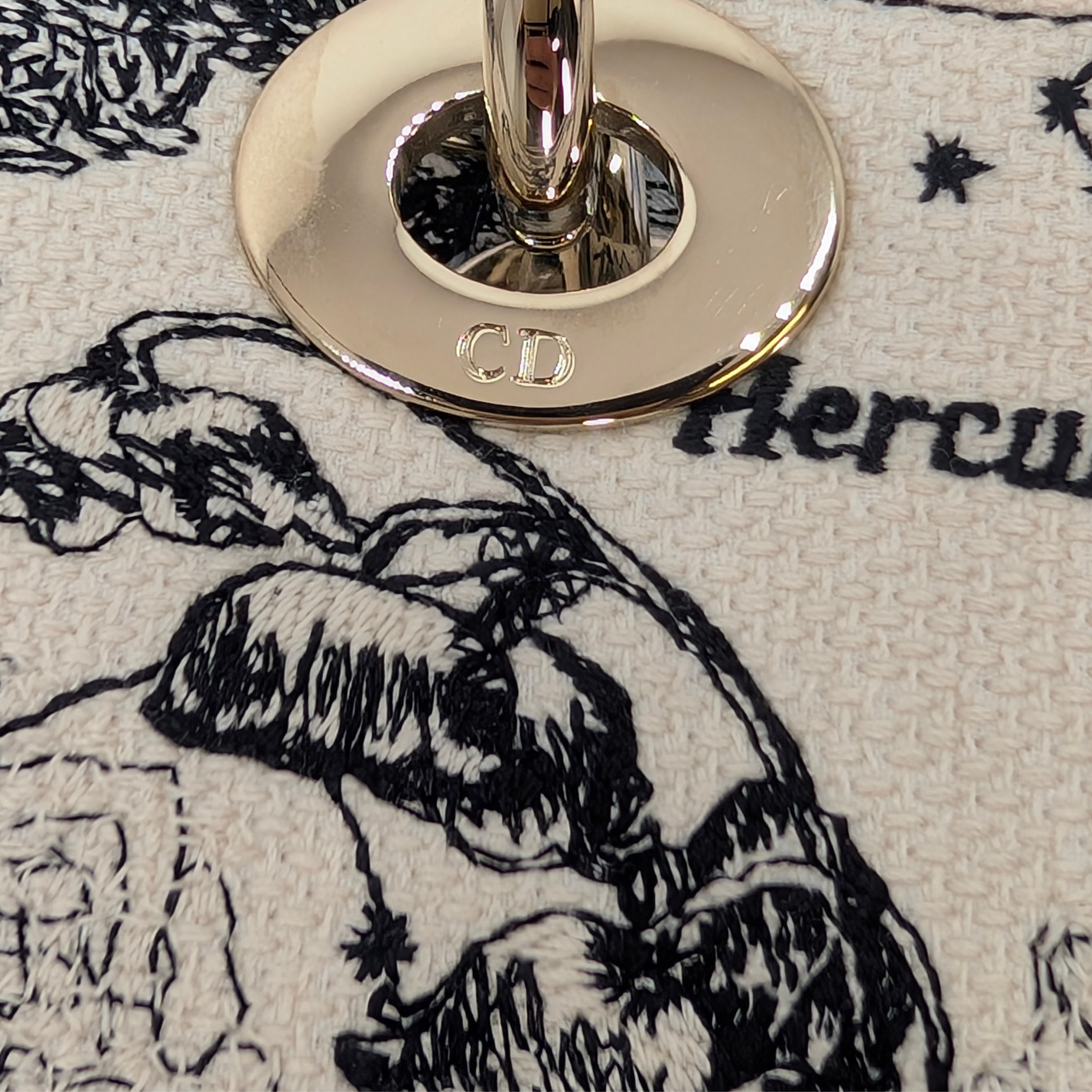 Dior Lady D-Lite Medium Toile de Jouy Zodiac Bag