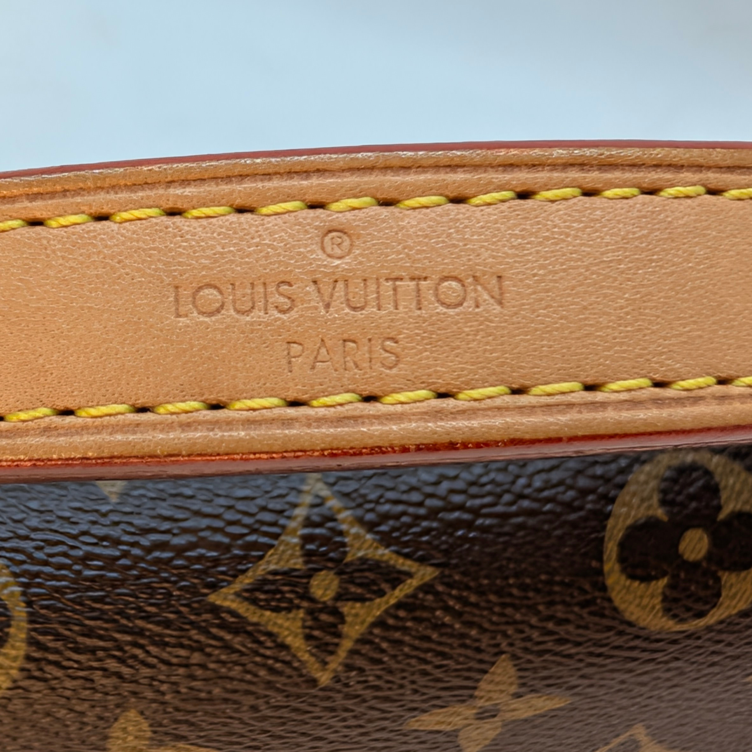 Louis Vuitton Cluny BB Monogram Bag