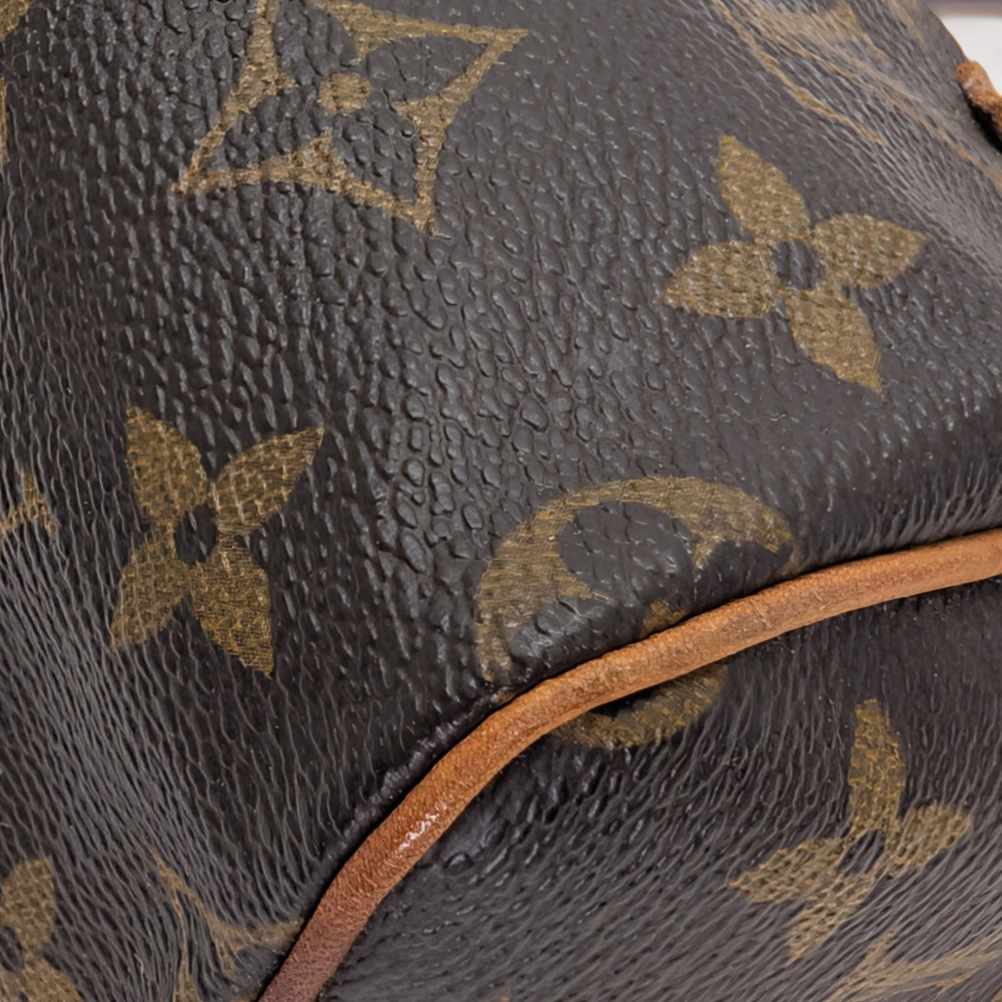 Louis Vuitton Nano Speedy Monogram Handbag Brown