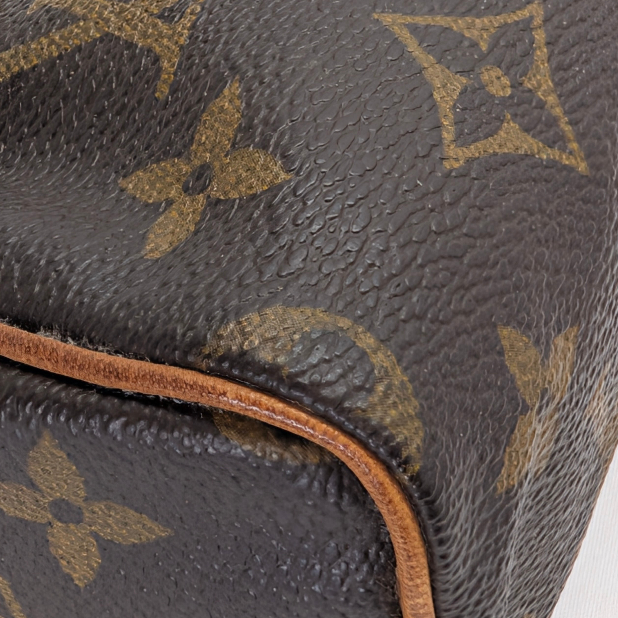 Louis Vuitton Nano Speedy Monogram Handbag Brown