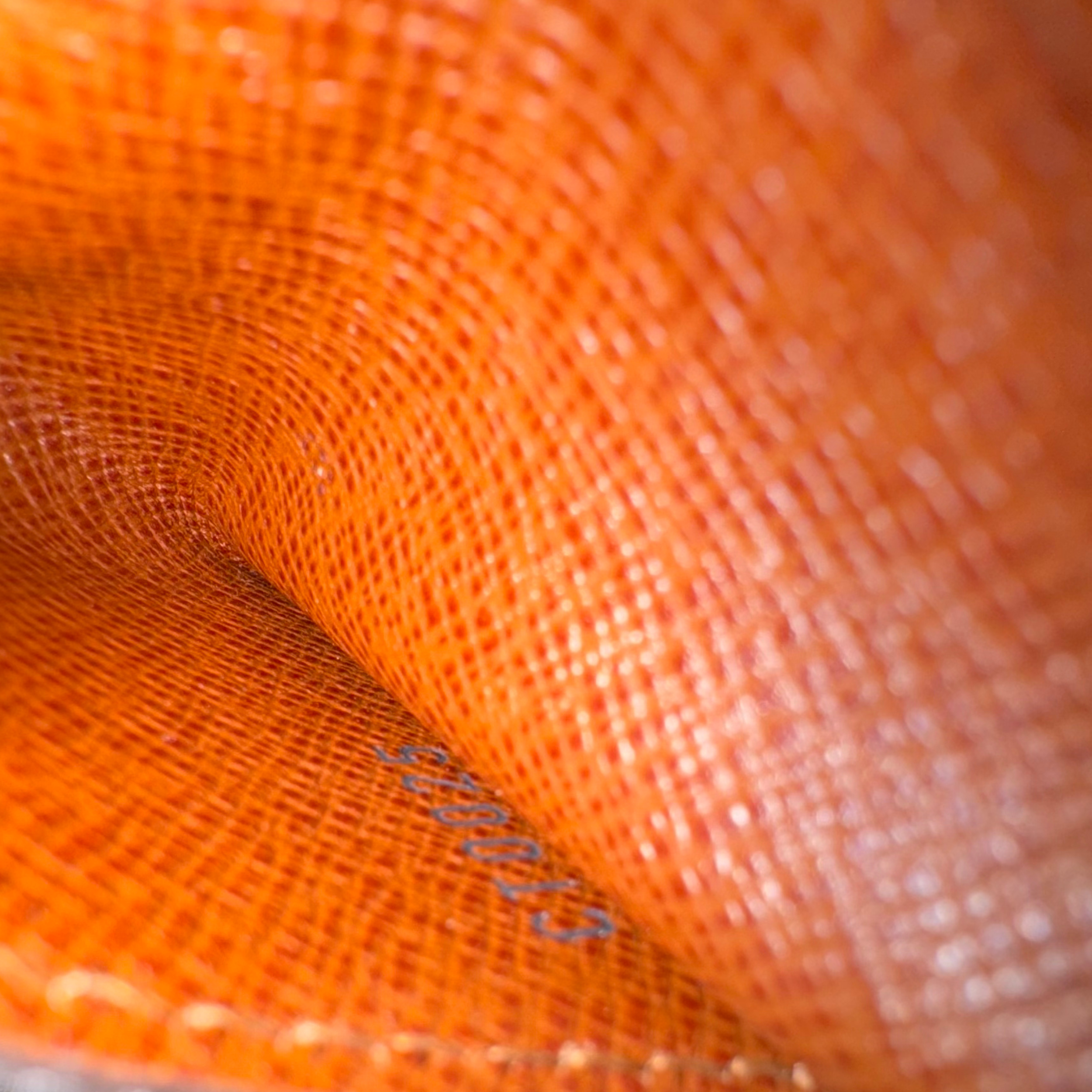 Louis Vuitton Monogram Ludlow Wallet