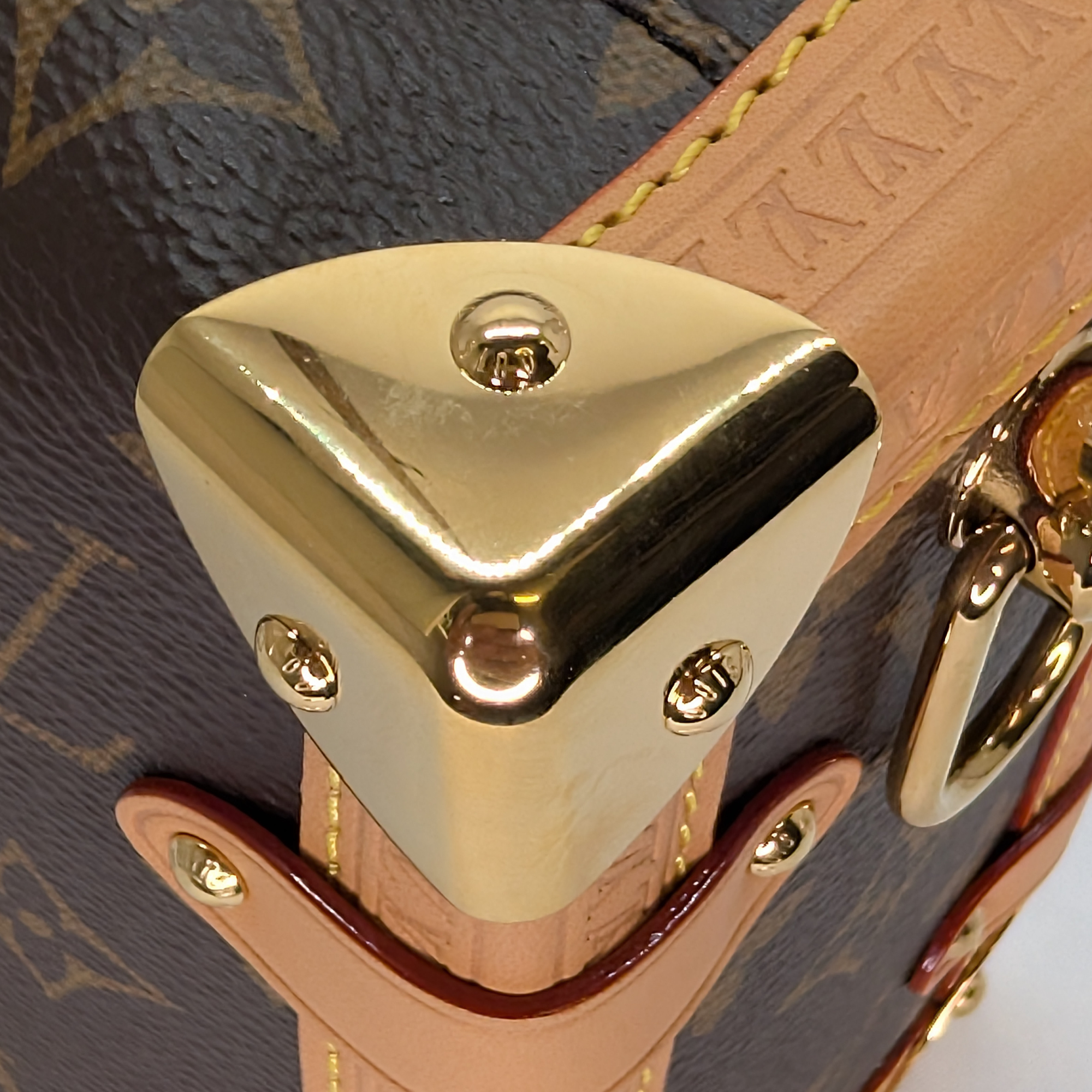 Louis Vuitton Side Trunk MM Monogram Bag