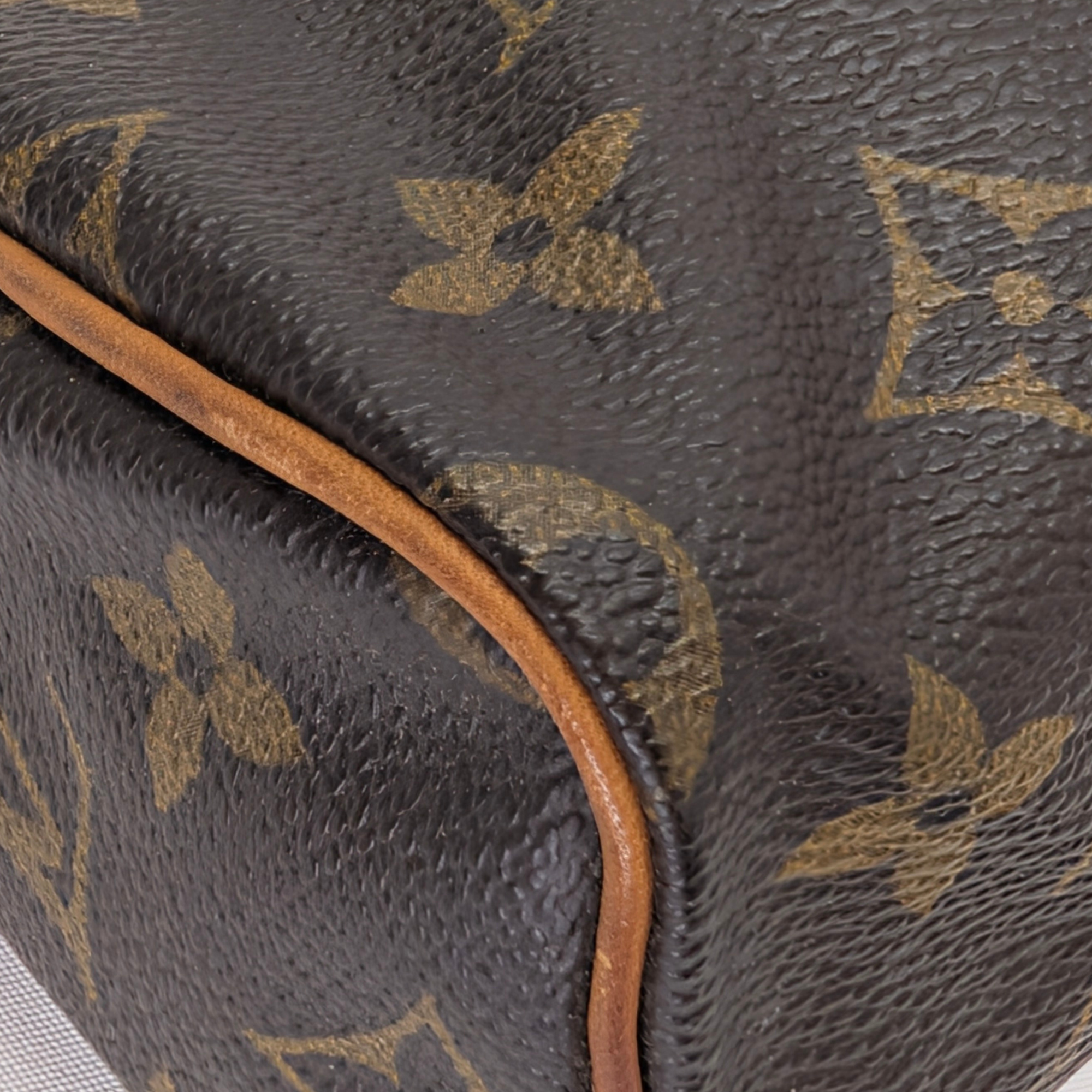 Louis Vuitton Nano Speedy Monogram Handbag Brown