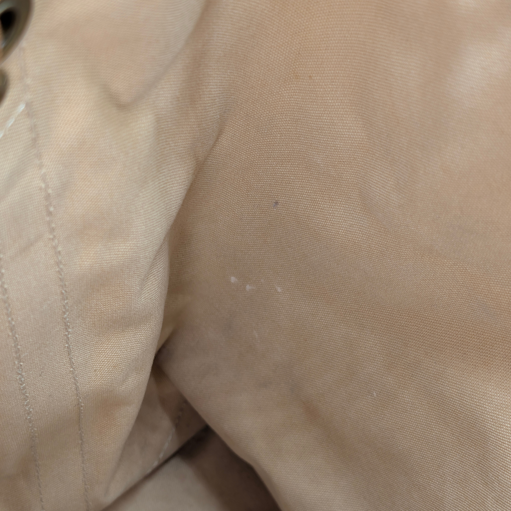 Louis Vuitton Noé Large Bucket Bag Beige