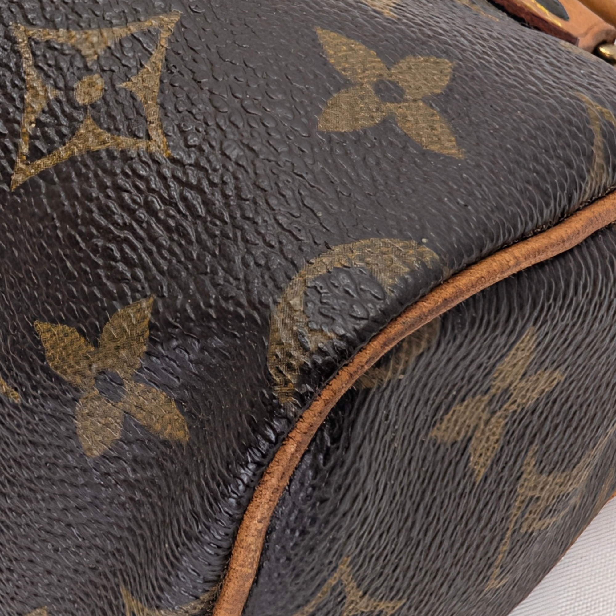 Louis Vuitton Nano Speedy Monogram Handbag Brown