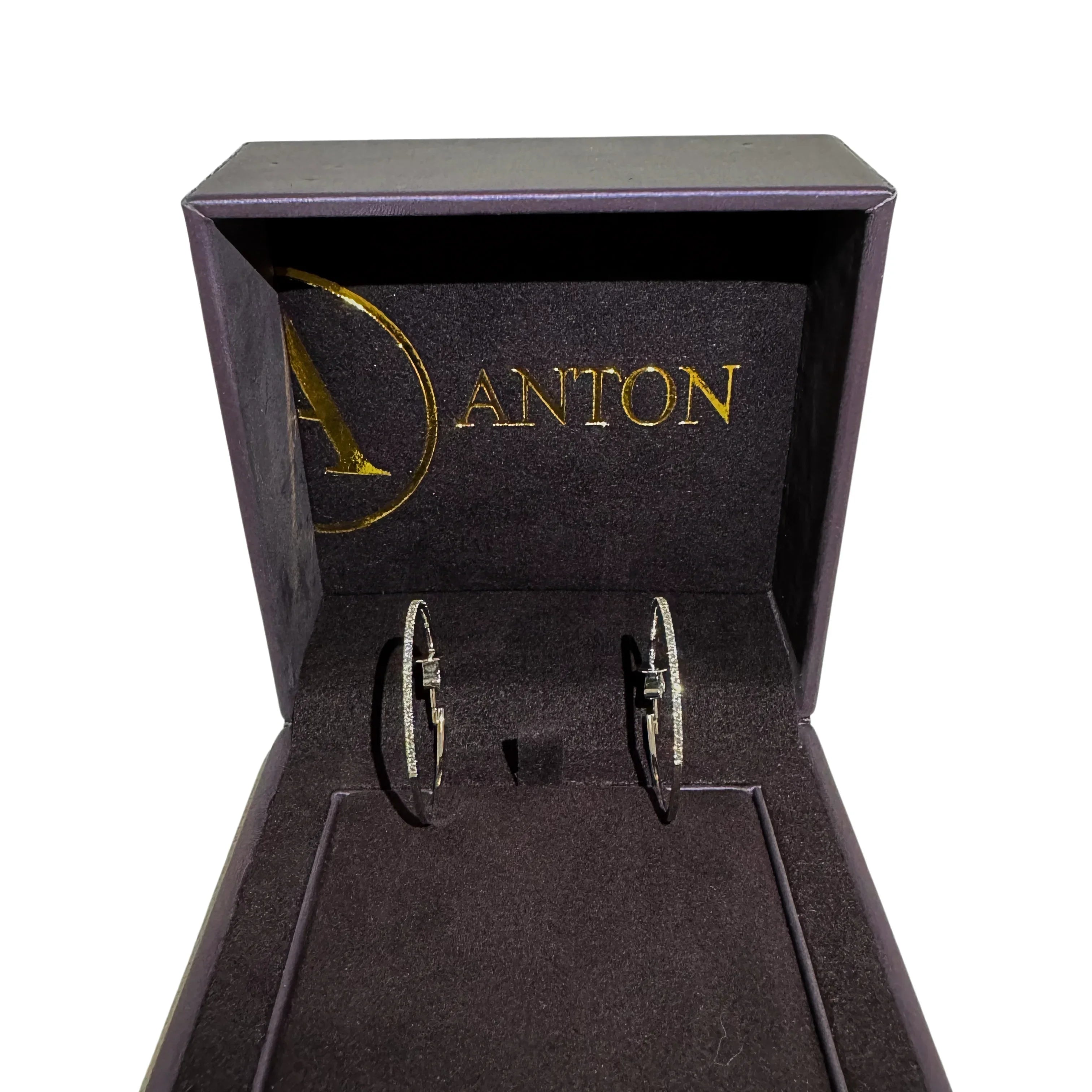 Anton Earrings (hoops)