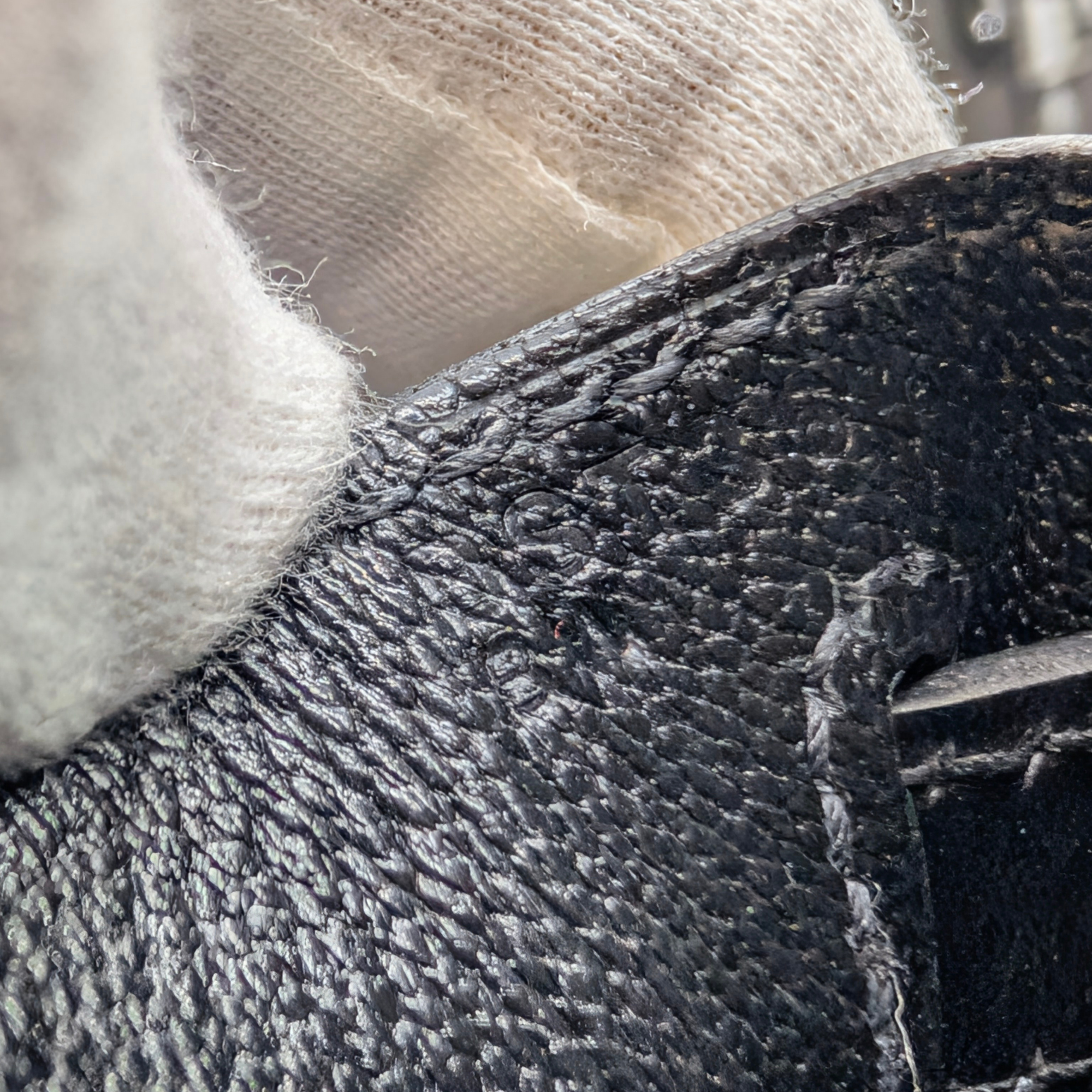 Hermès Kelly 28 SHW Box Leather W Stamp 2024 Black