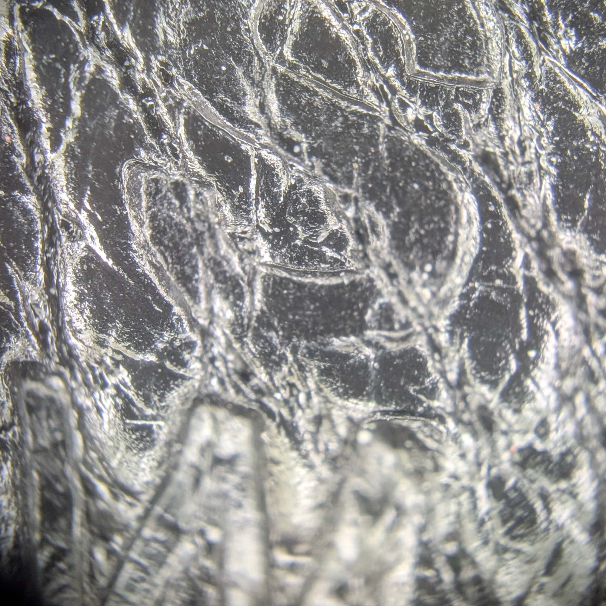 Hermès Kelly 28 SHW Box Leather W Stamp 2024 Black