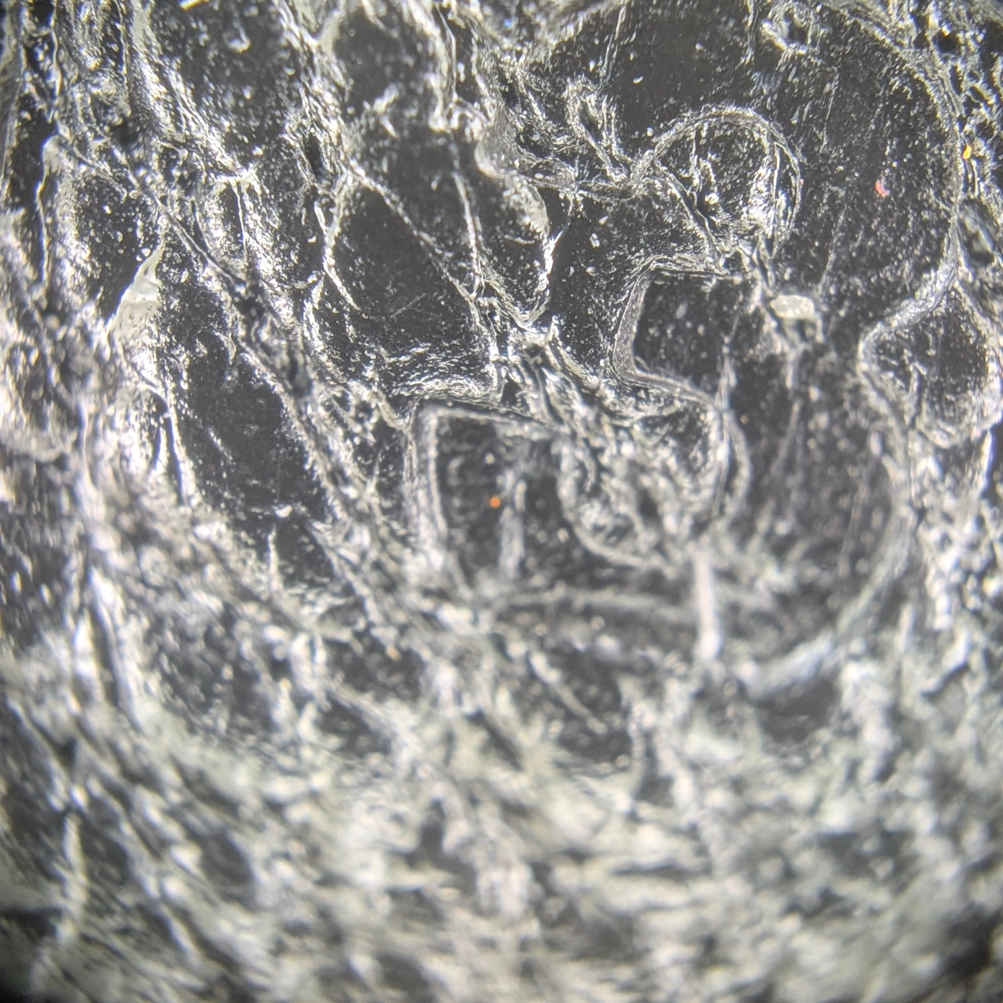 Hermès Kelly 28 SHW Box Leather W Stamp 2024 Black