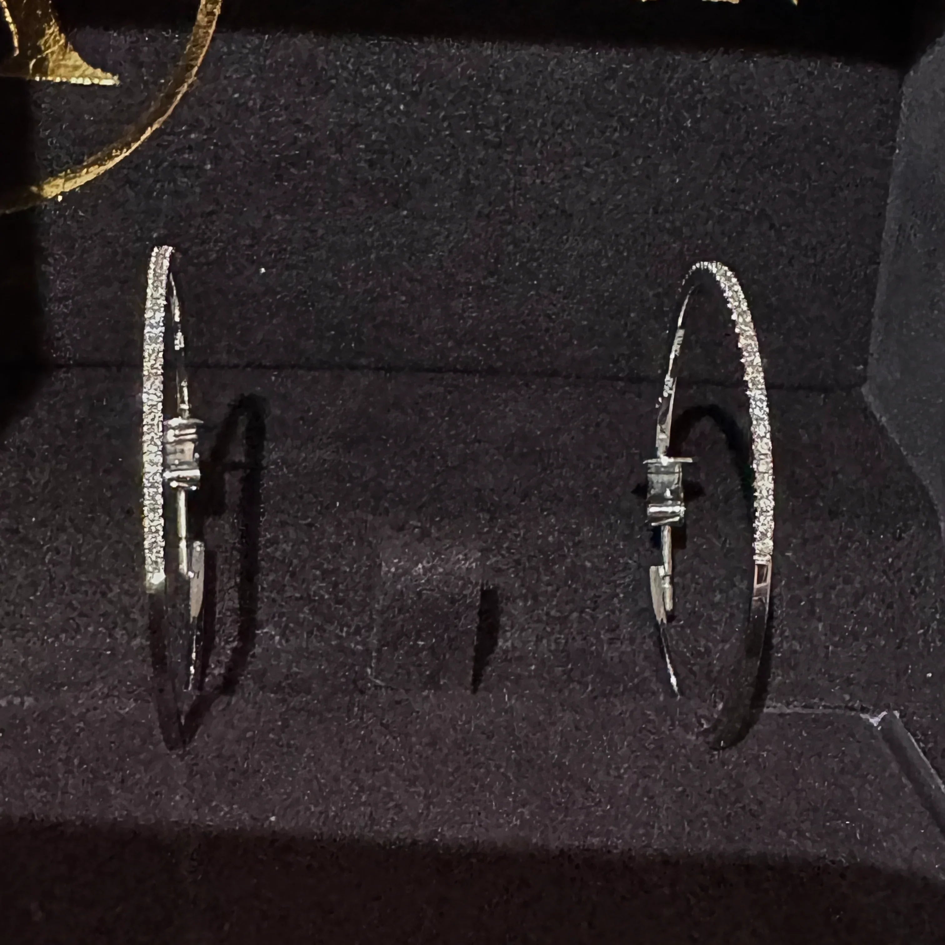 Anton Earrings (hoops)