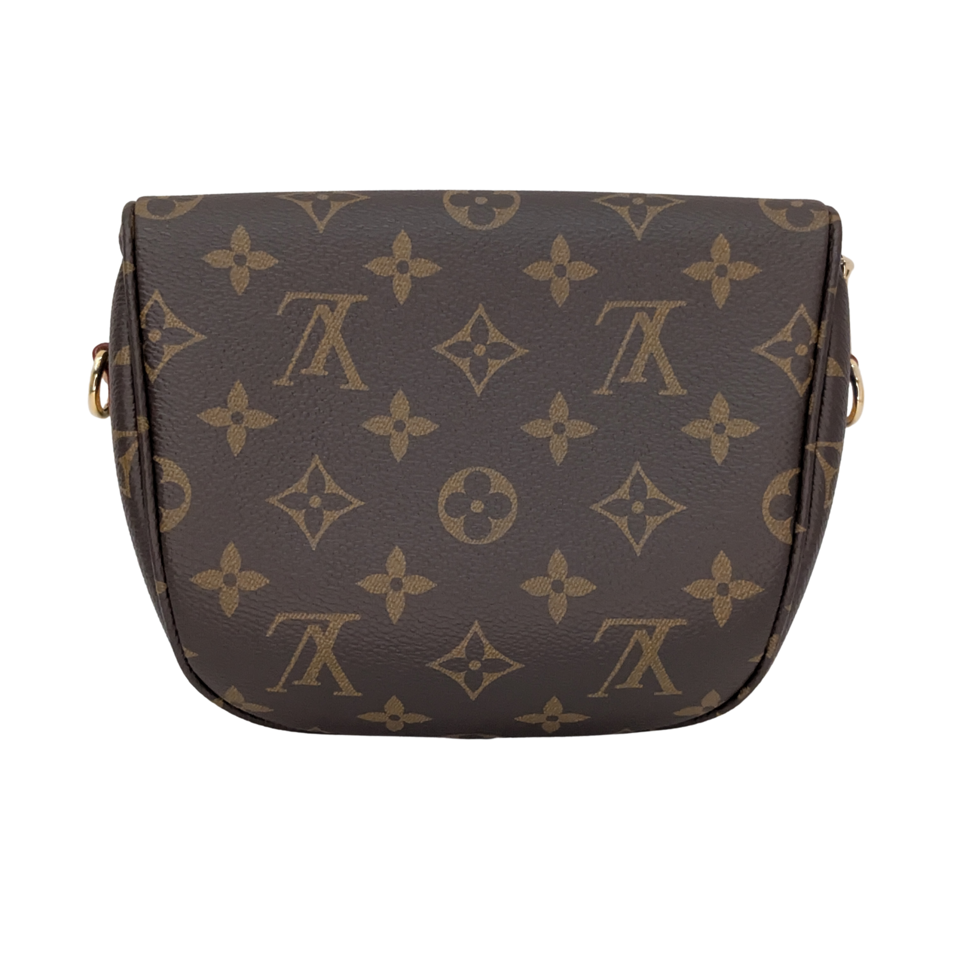 Louis Vuitton Mini Bumbag Monogram Brown