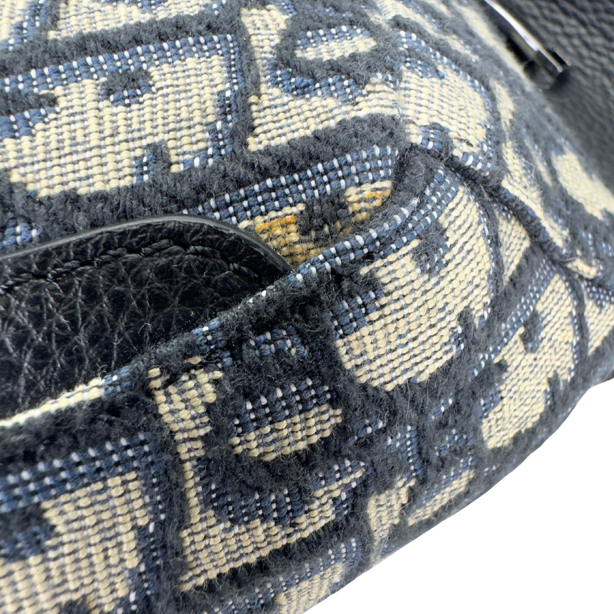 Dior Oblique Scarab Sling Bag