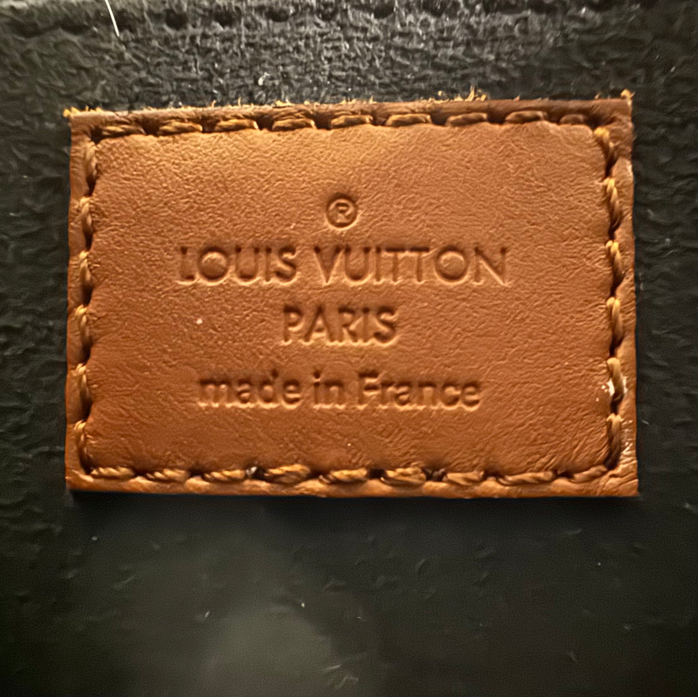 Louis Vuitton Reverse Monogram Dauphine Mini Bag