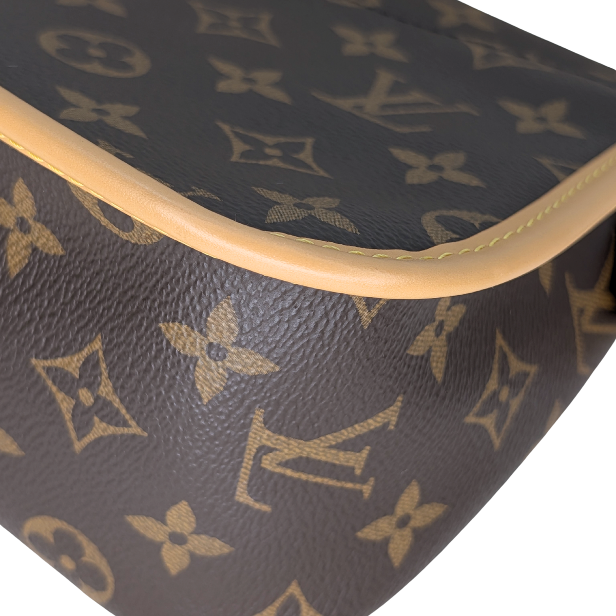 Louis Vuitton Diane Monogram Bag