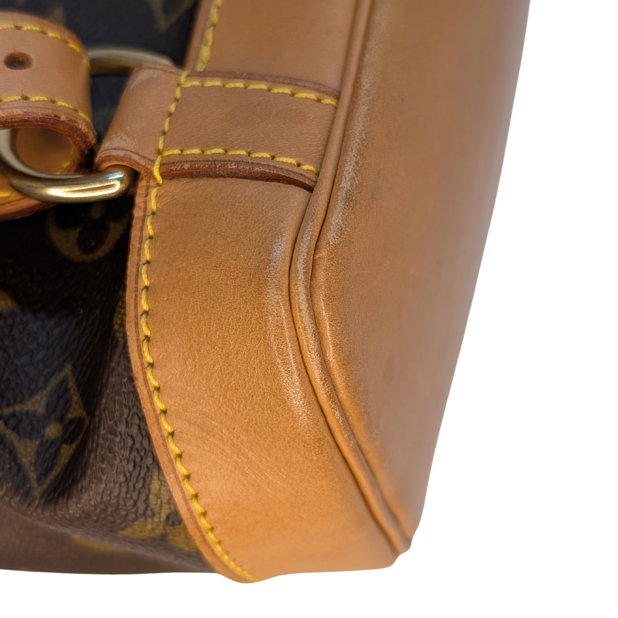 Louis Vuitton Monogram Montsouris MM Backpack